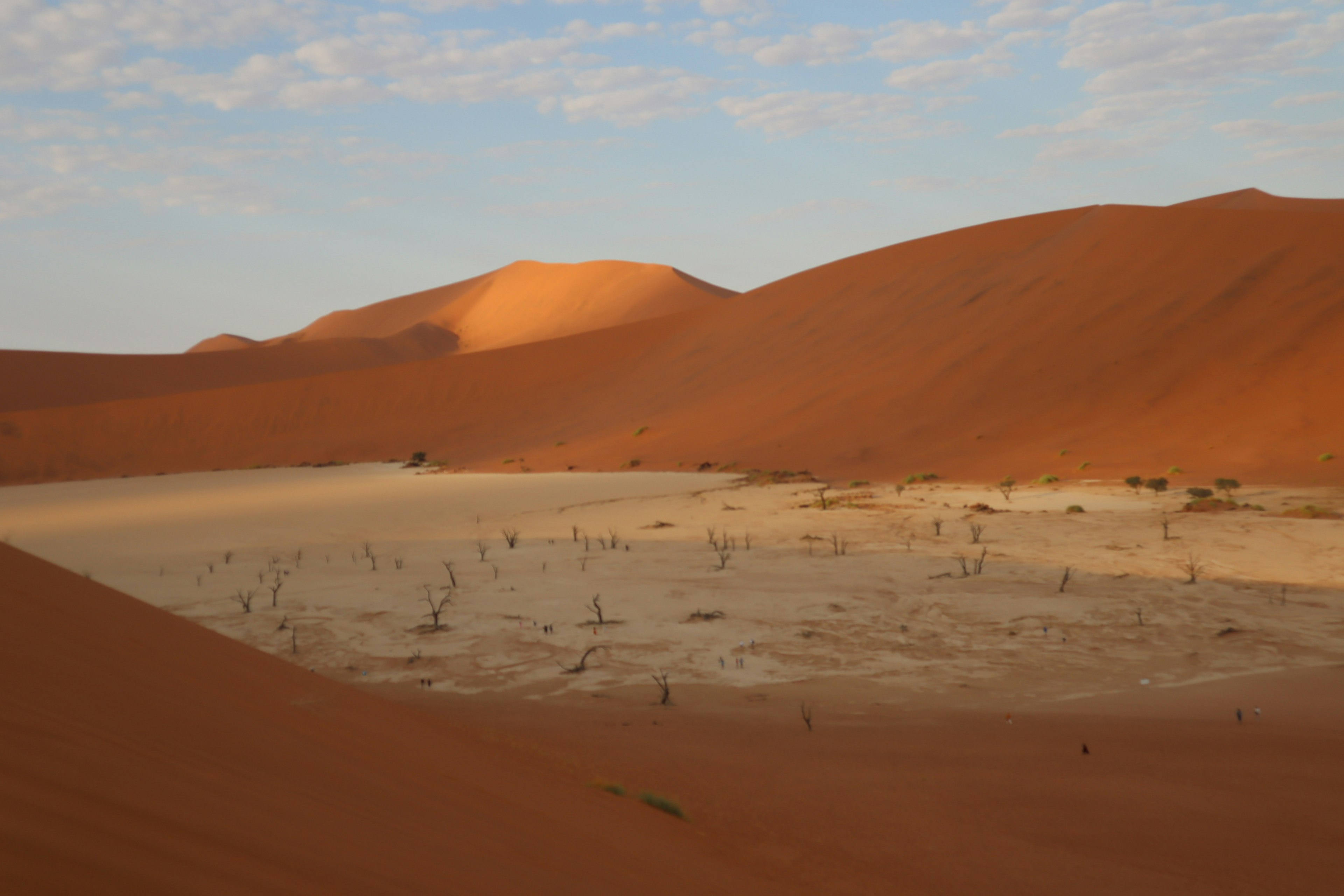 Landschaft mit orangefarbenen Sanddünen und trockenem Boden