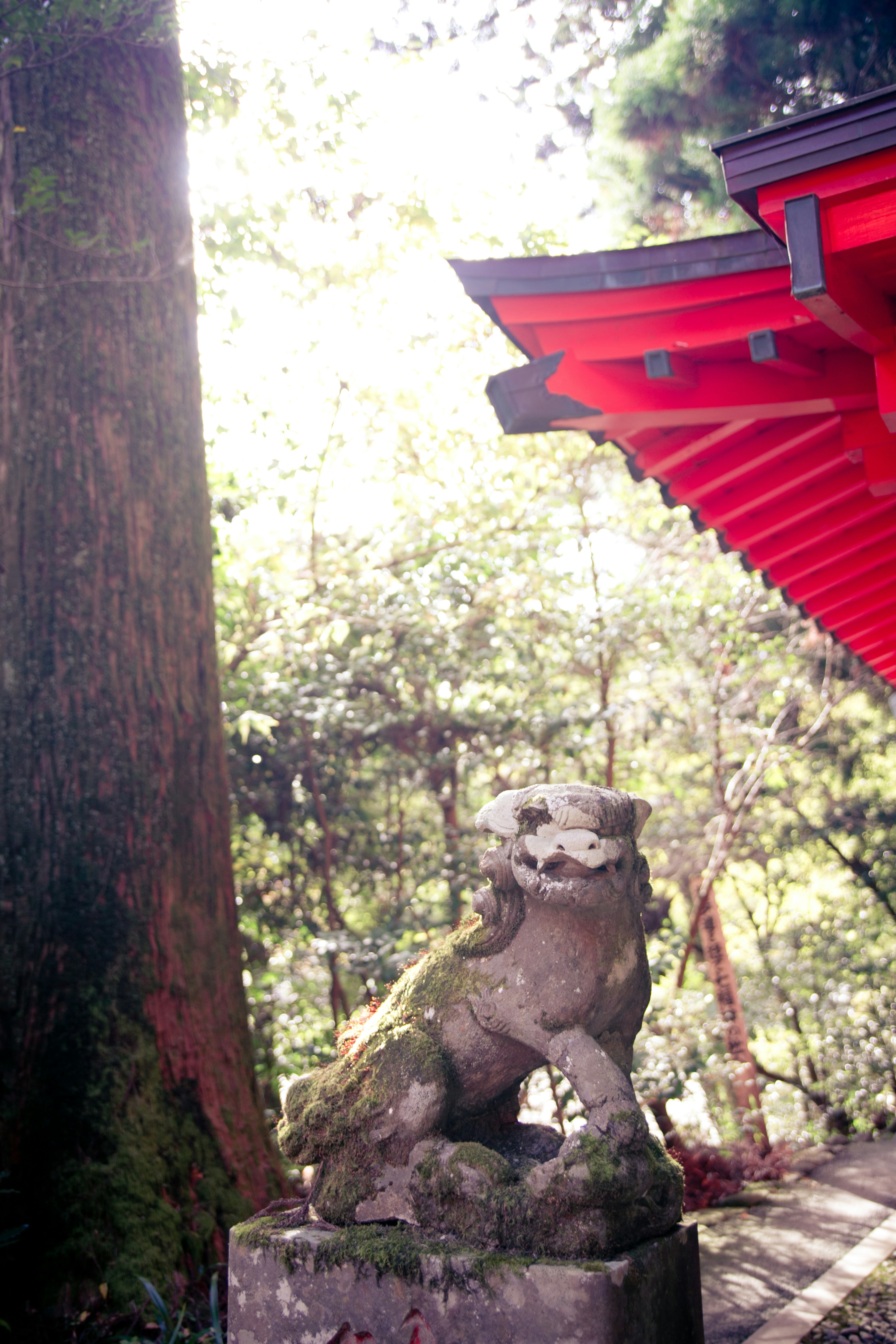 Una estatua de perro león de piedra junto a un gran árbol bajo un techo rojo