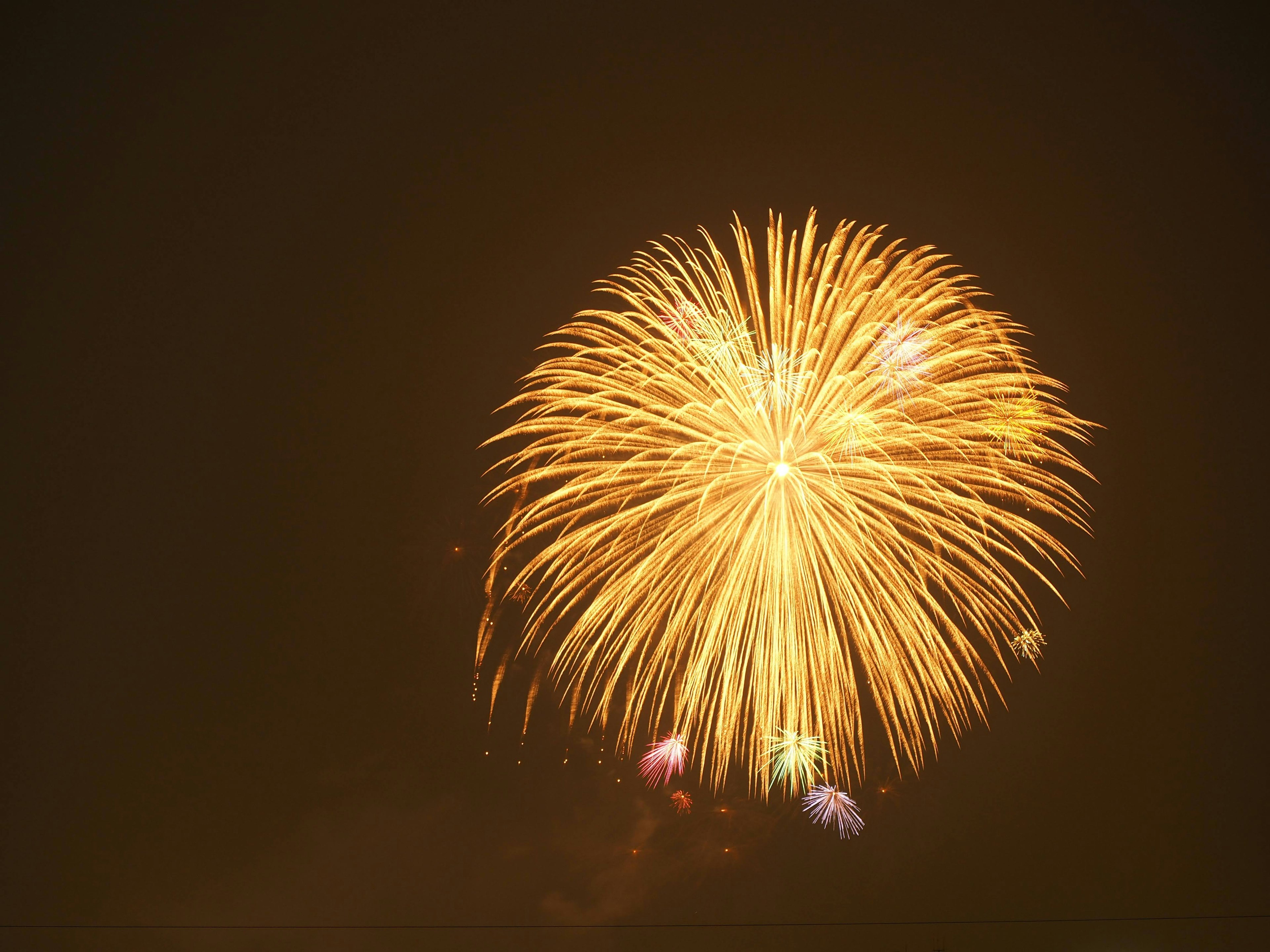 夜空中綻放的大型金色煙火