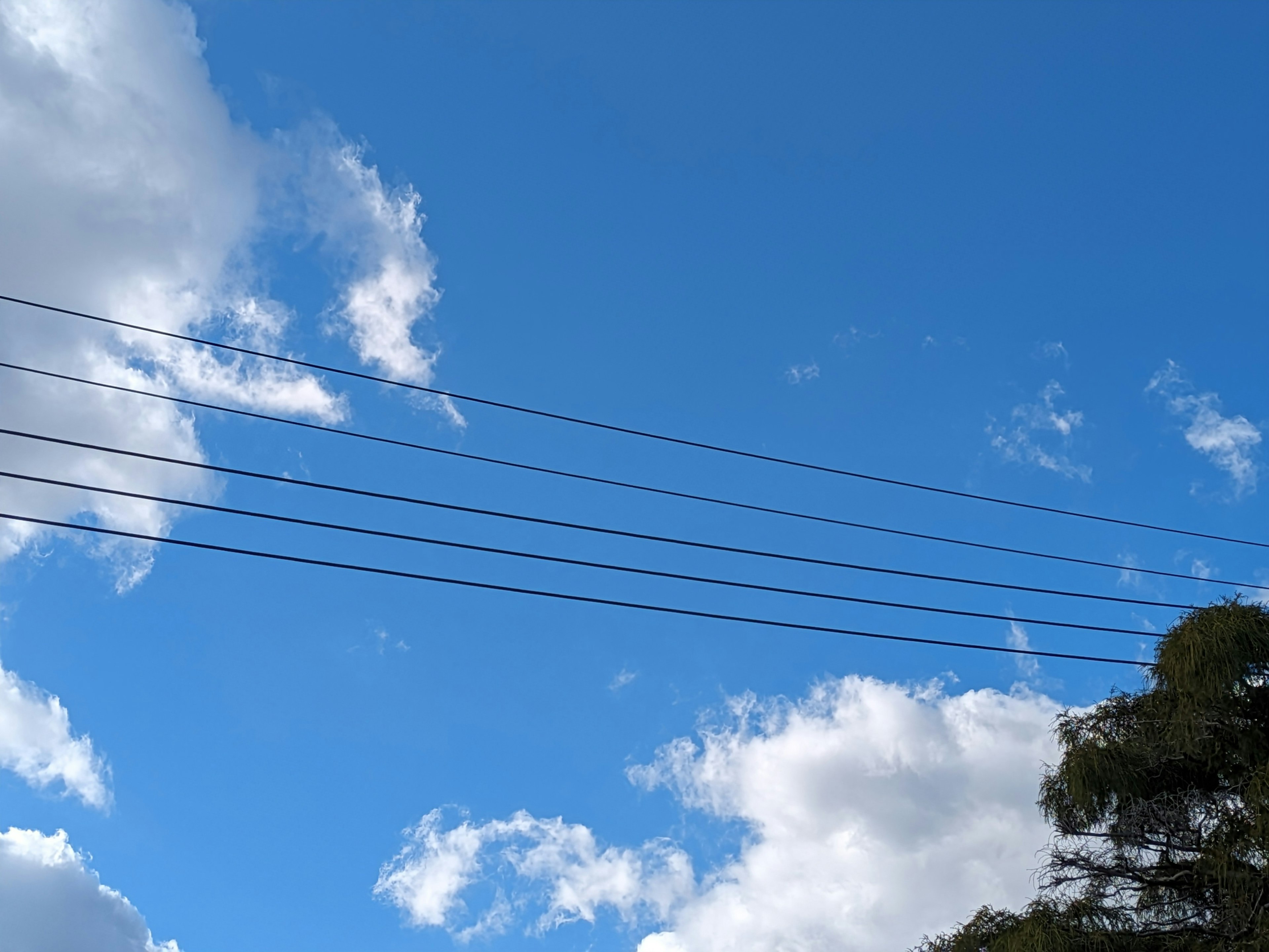 青空と白い雲の下にある電線