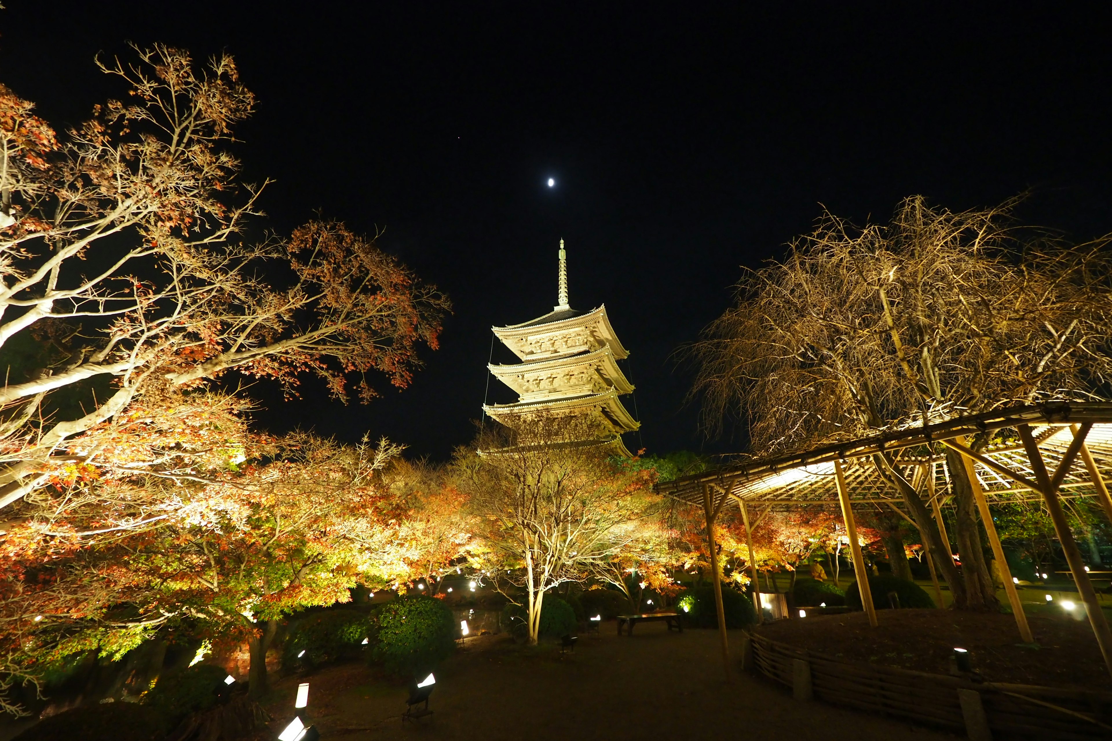 Pagoda a cinque piani illuminata circondata da fogliame autunnale di notte