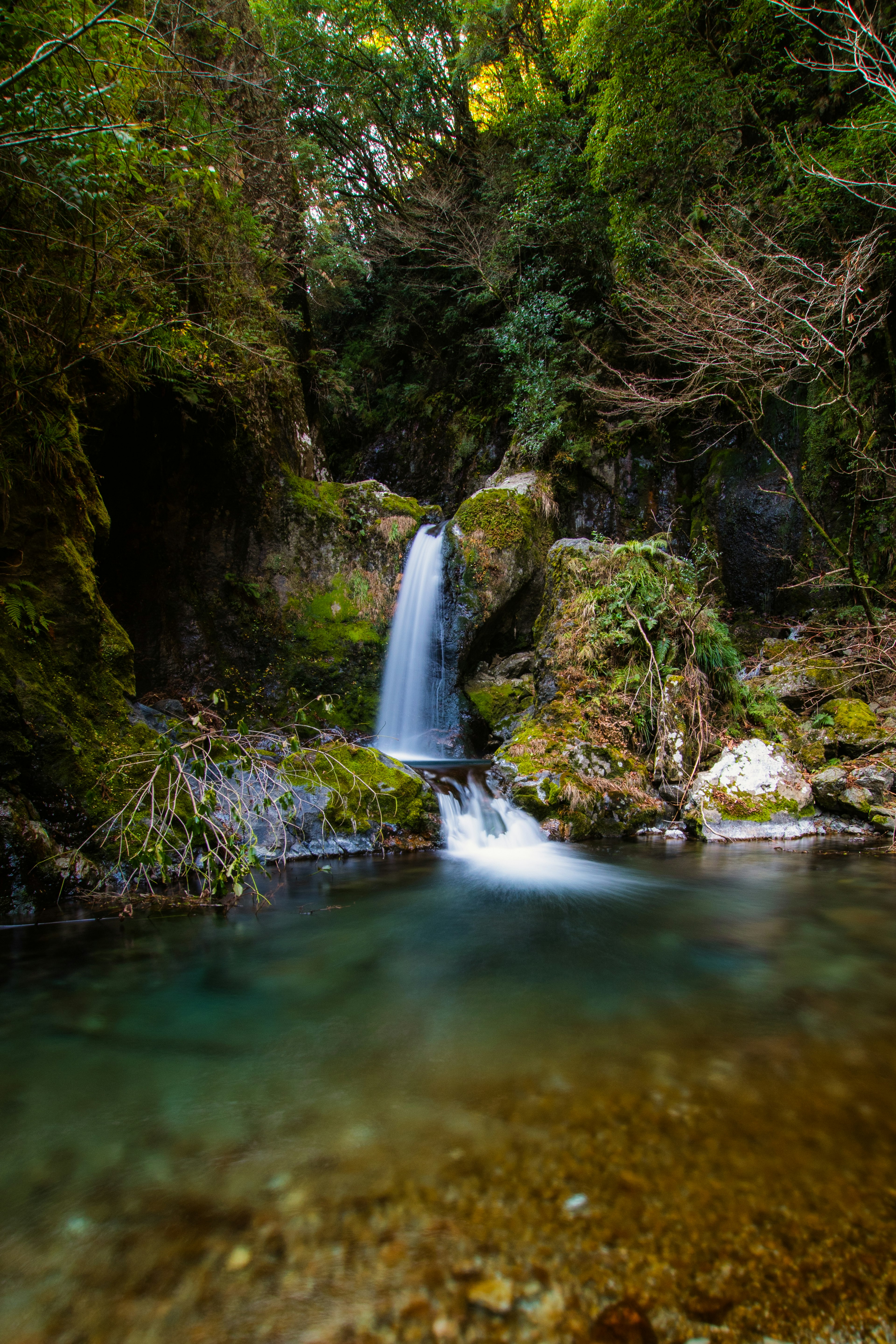 美しい滝と透明な水が流れる自然の風景