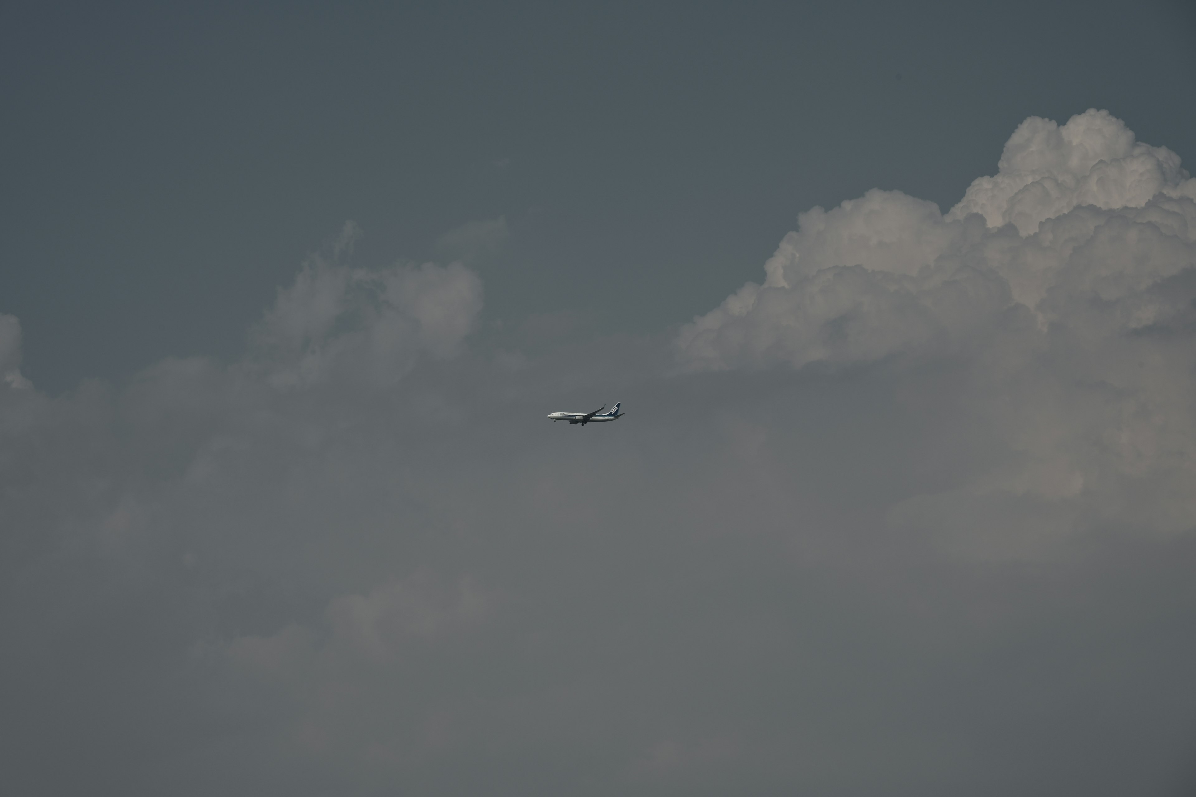 青空に浮かぶ飛行機と雲のコントラスト