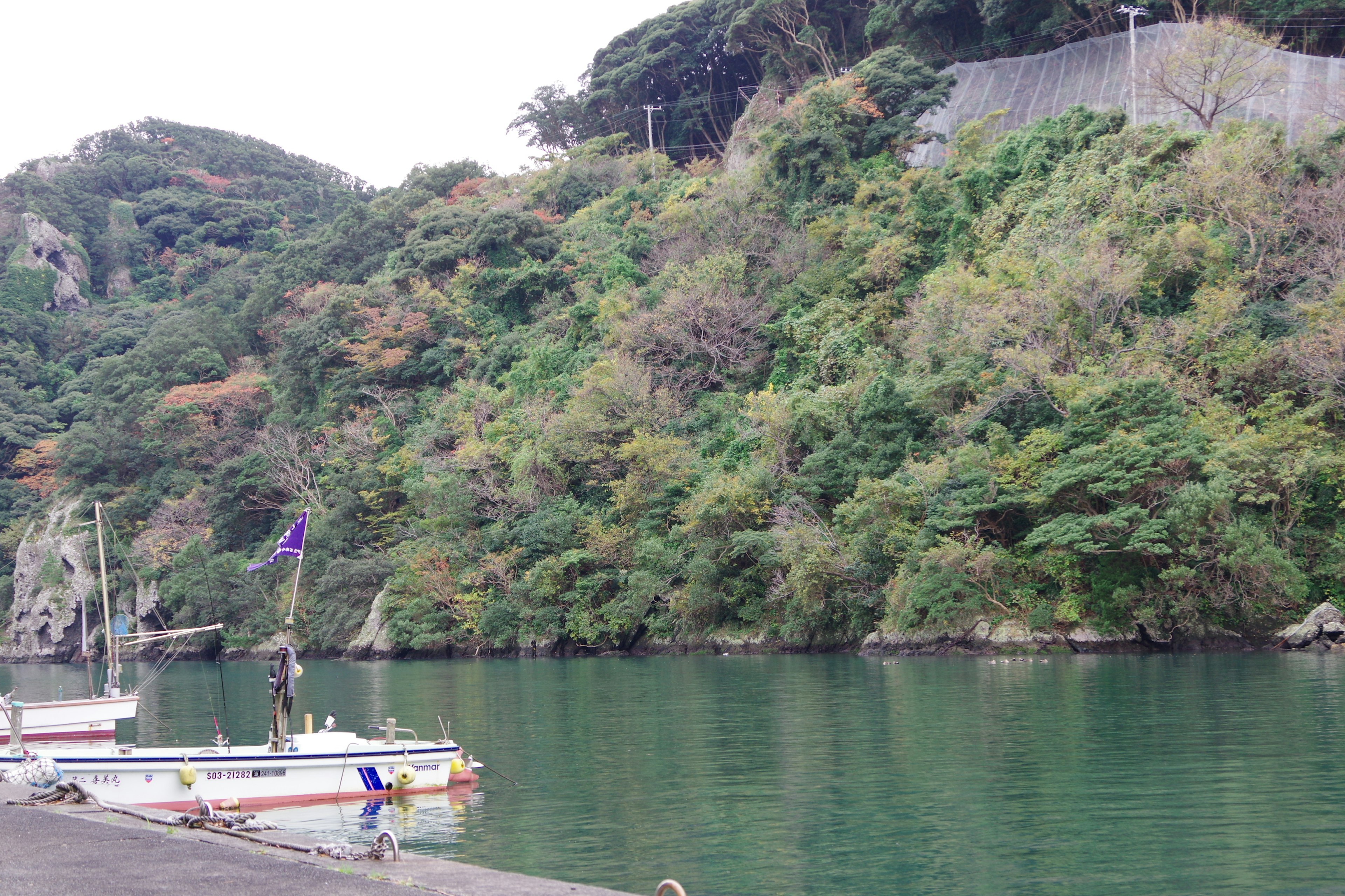 静かな港に停泊する小さな漁船と緑豊かな山々