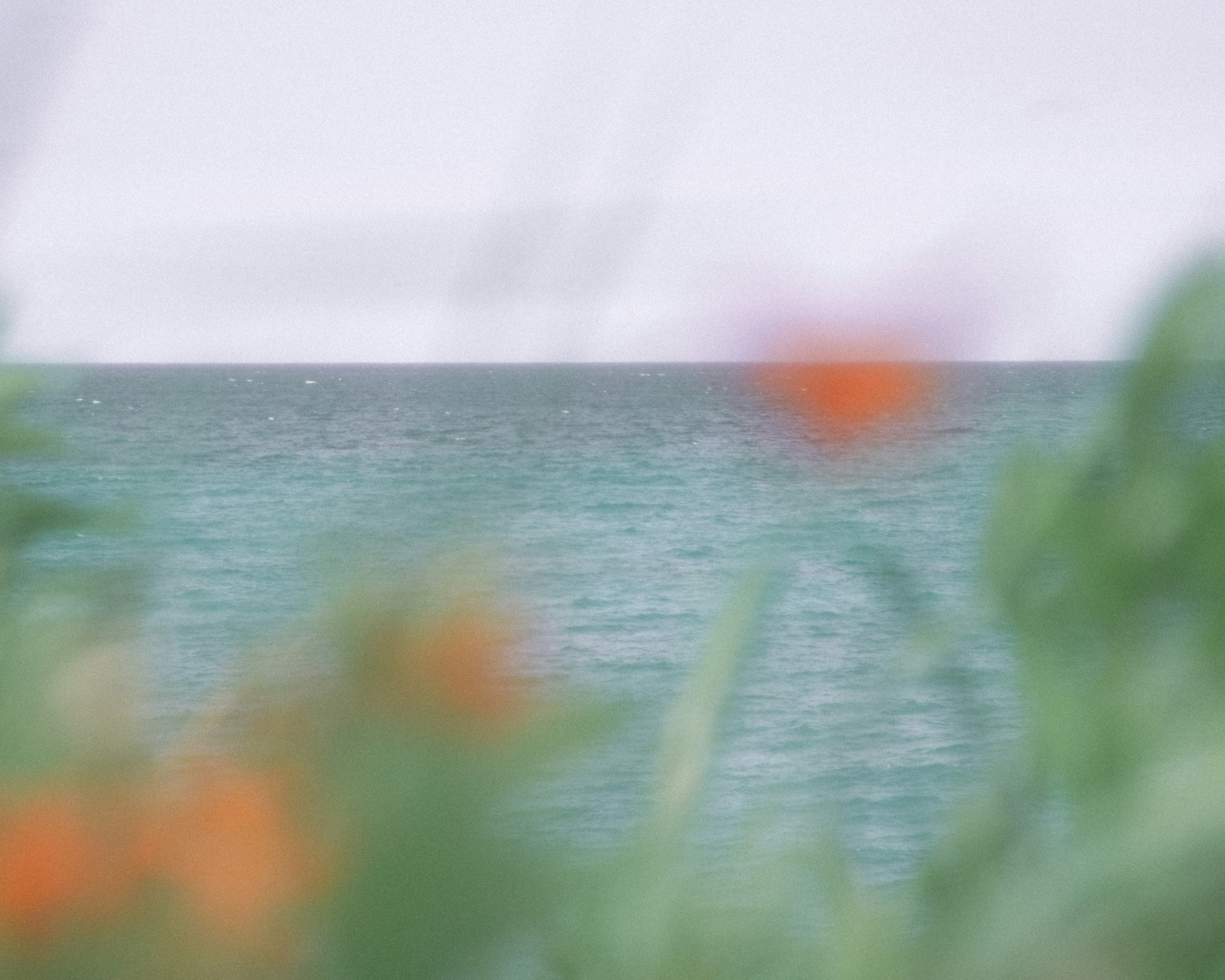 青い海とオレンジの花がぼやけて見える風景