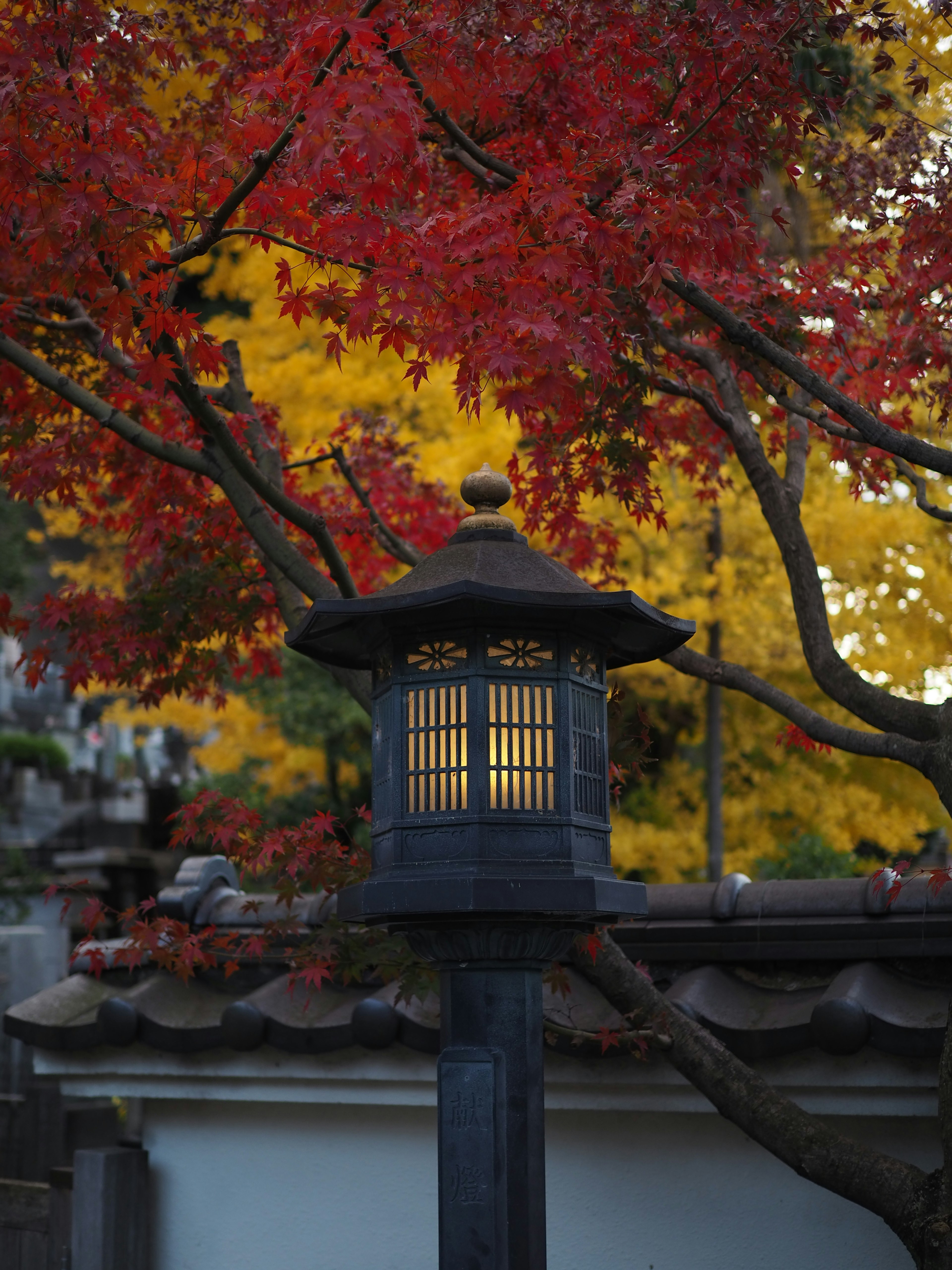 赤や黄色の紅葉に囲まれた和風の灯籠