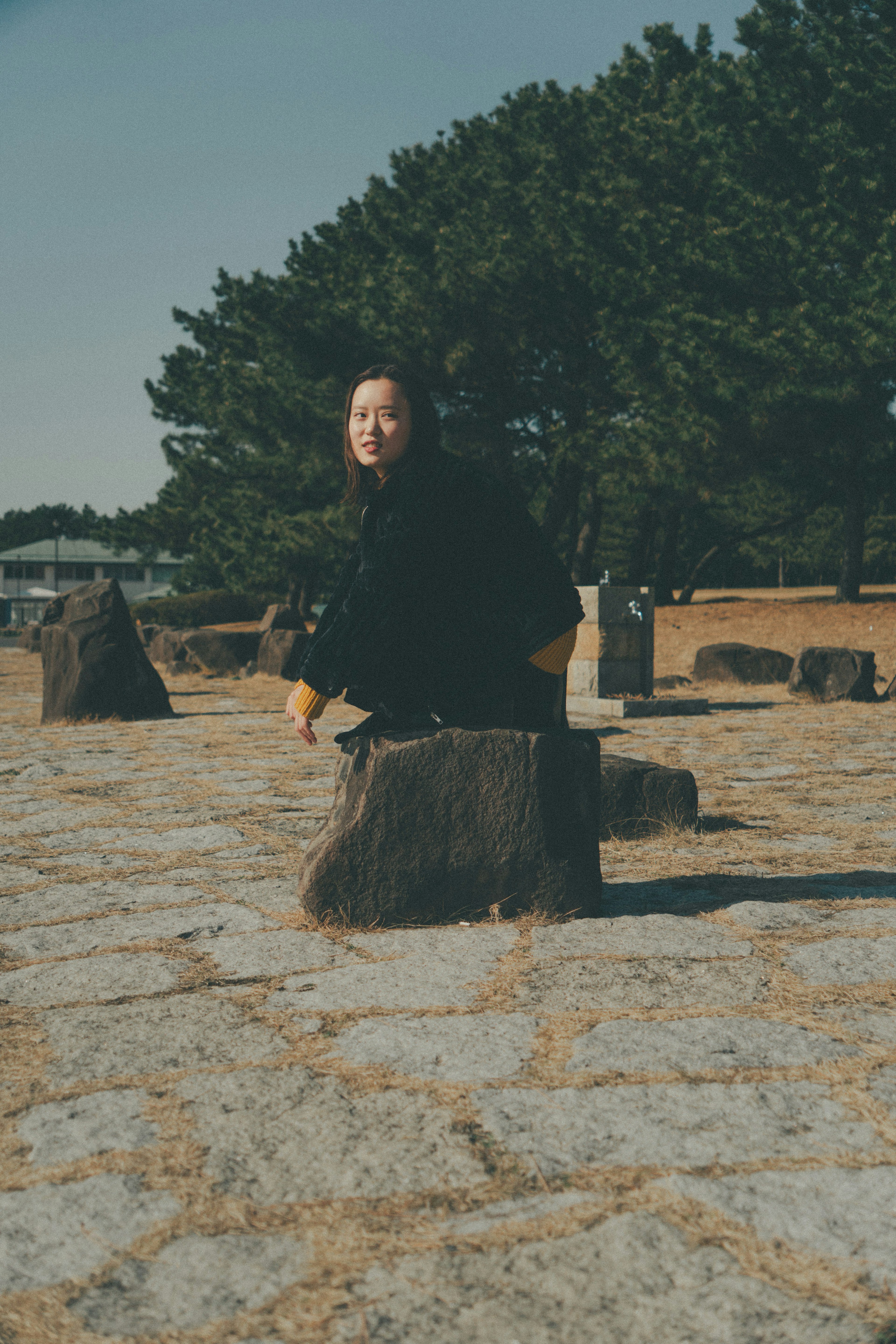 自然の中で石の上に座る女性の姿