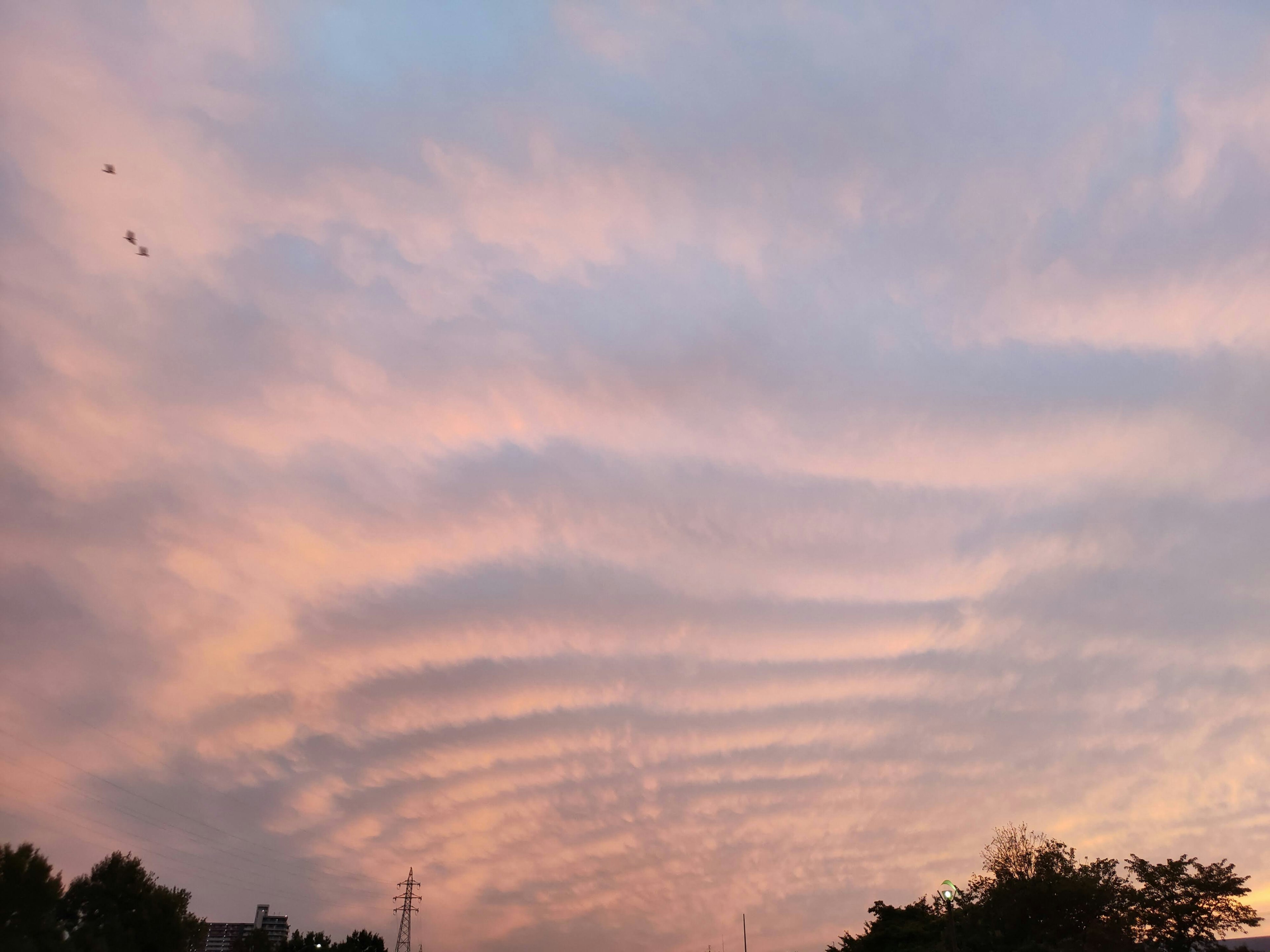 波浪雲在粉紅色的日落天空中