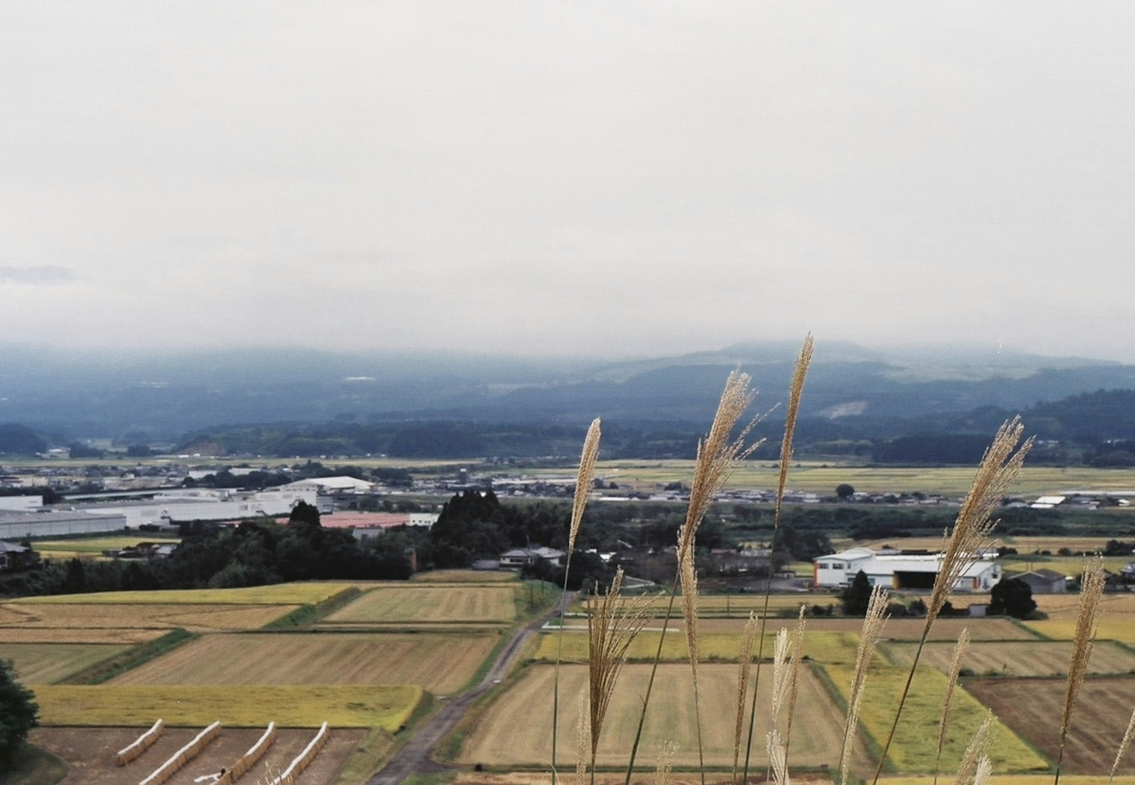 穏やかな田園風景と遠くの山々が広がる風景