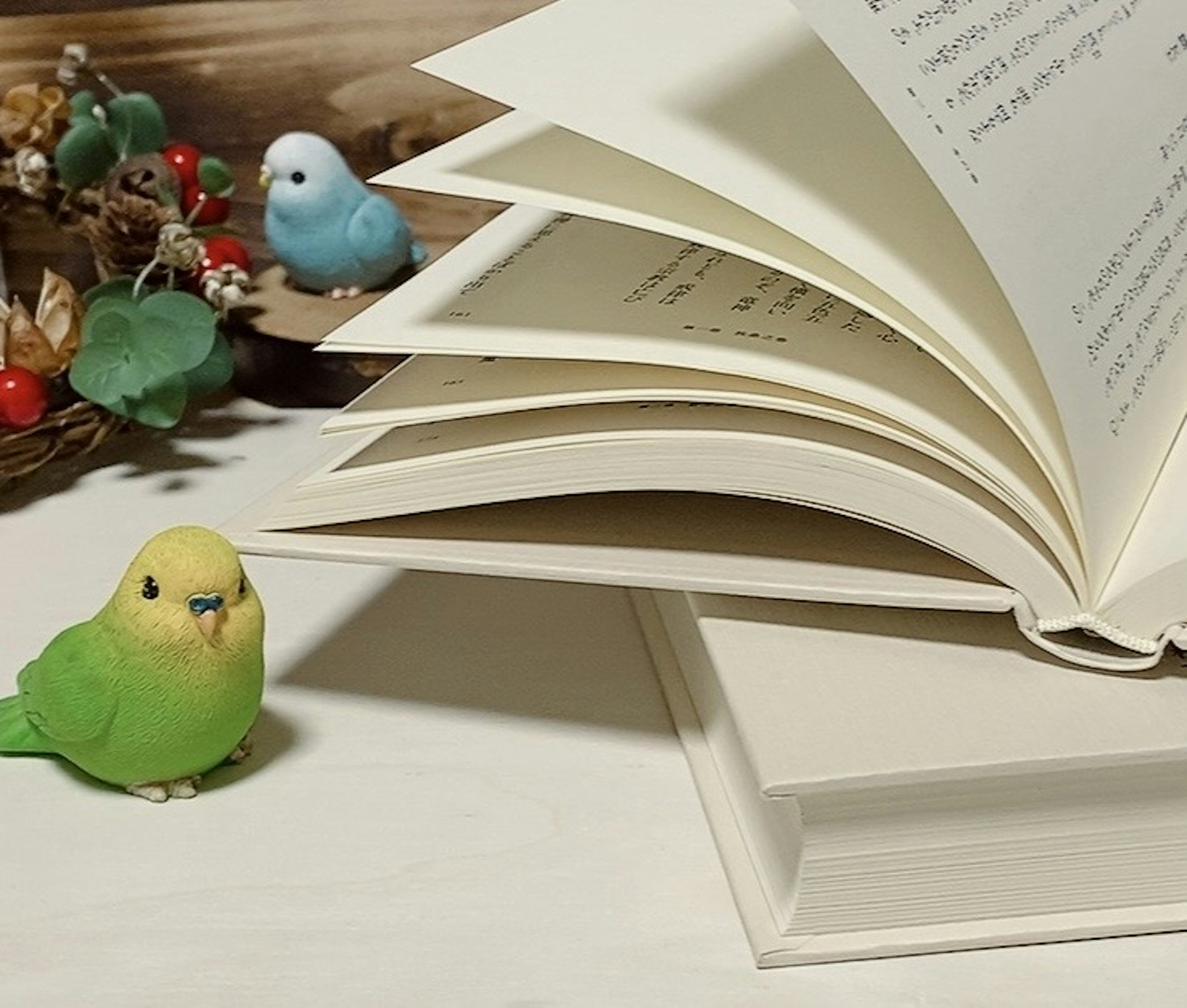 Colorful birds and an open book arranged in a serene setting