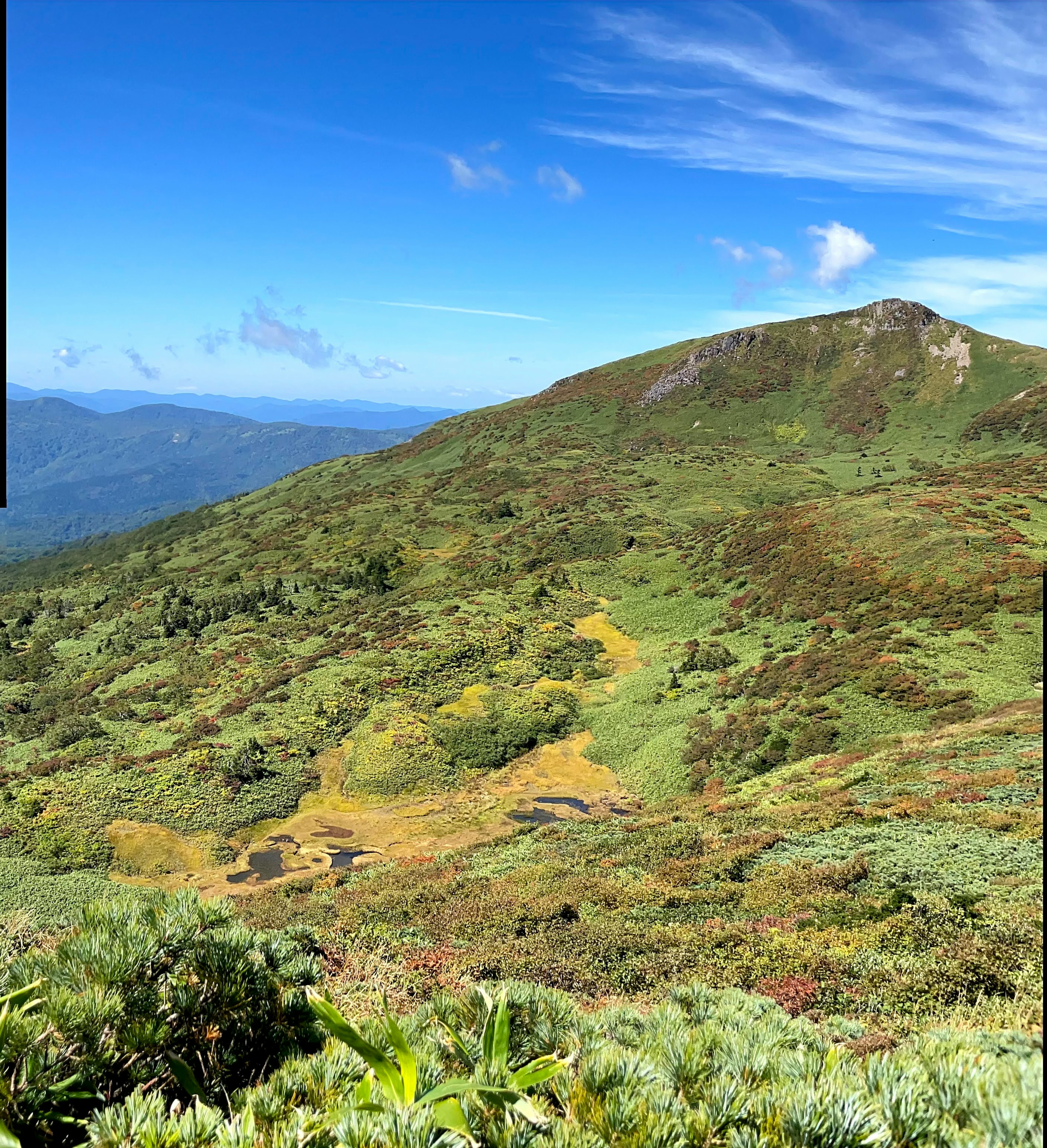 緑豊かな山の風景と青い空の背景