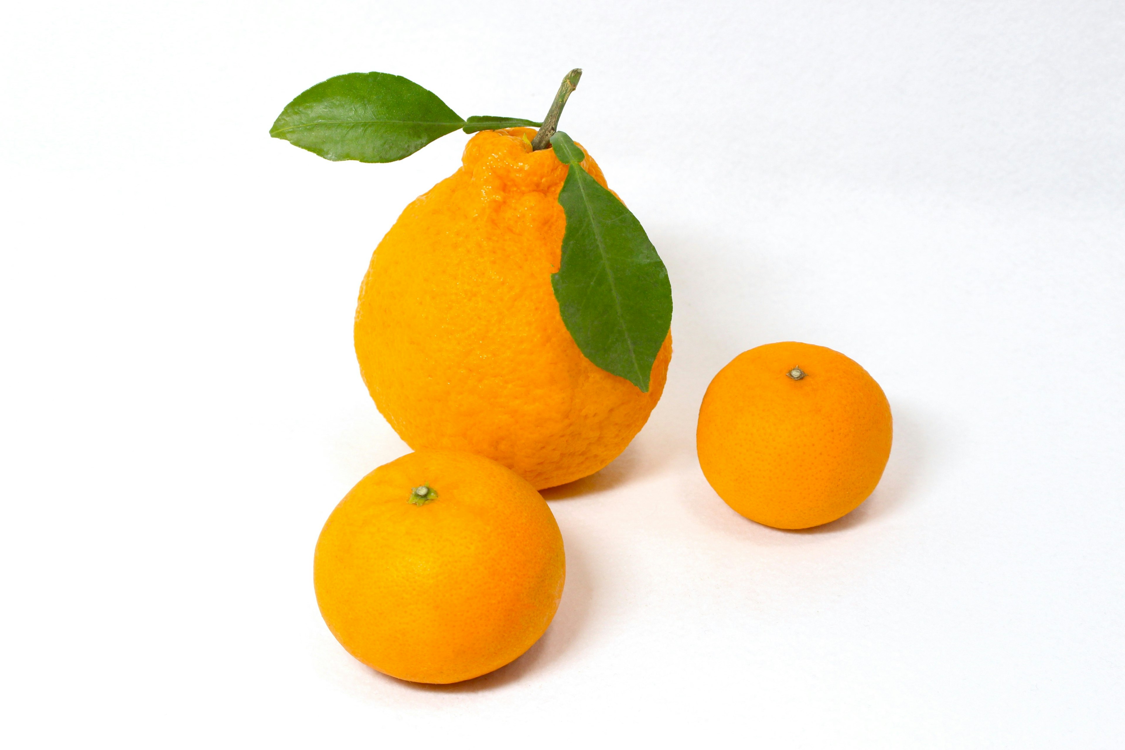 Tres frutas naranjas colocadas sobre una superficie blanca con una hoja en la fruta más grande