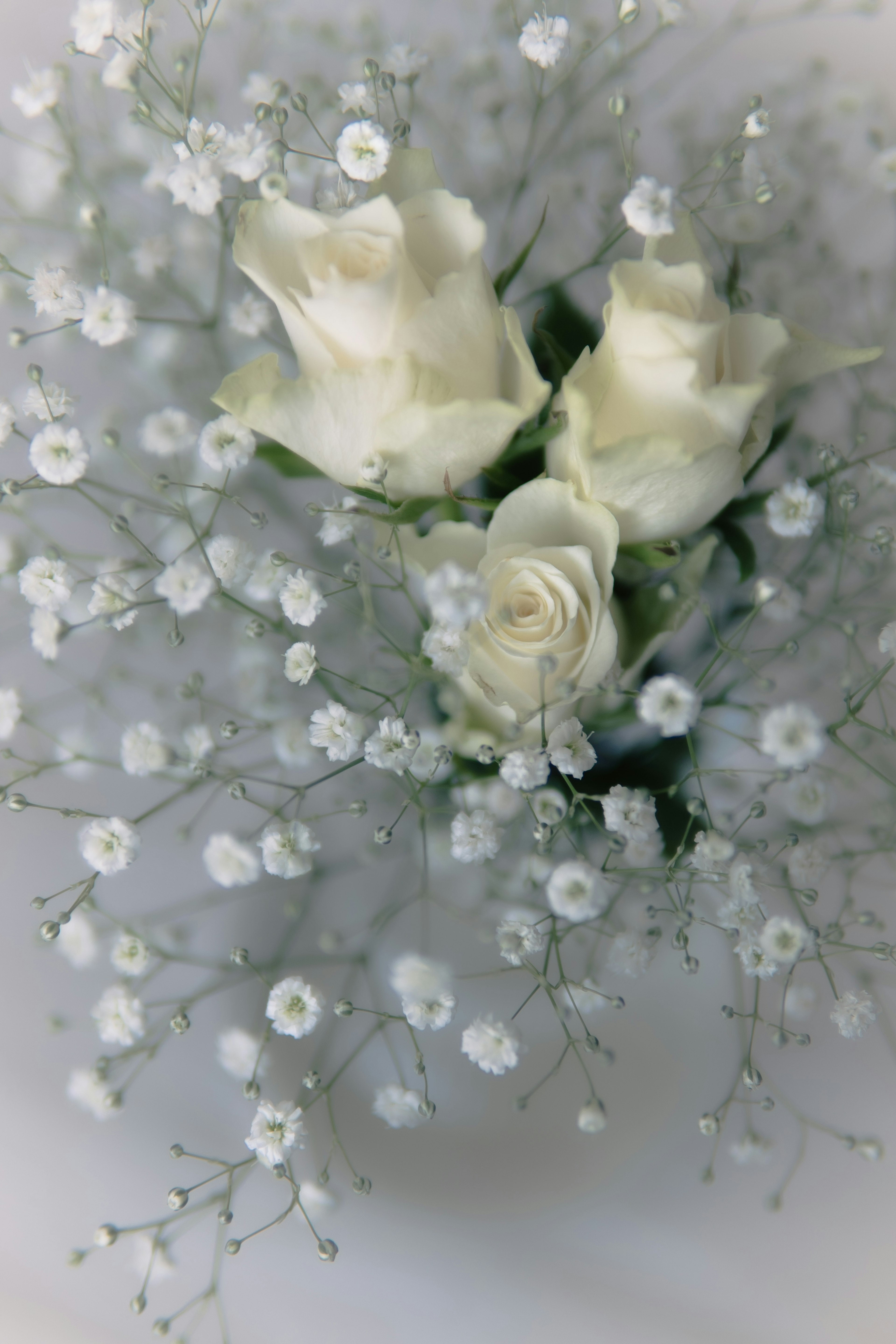 Ein Strauß weißer Rosen umgeben von zarten Schleierkrautblüten vor einem sanften Hintergrund