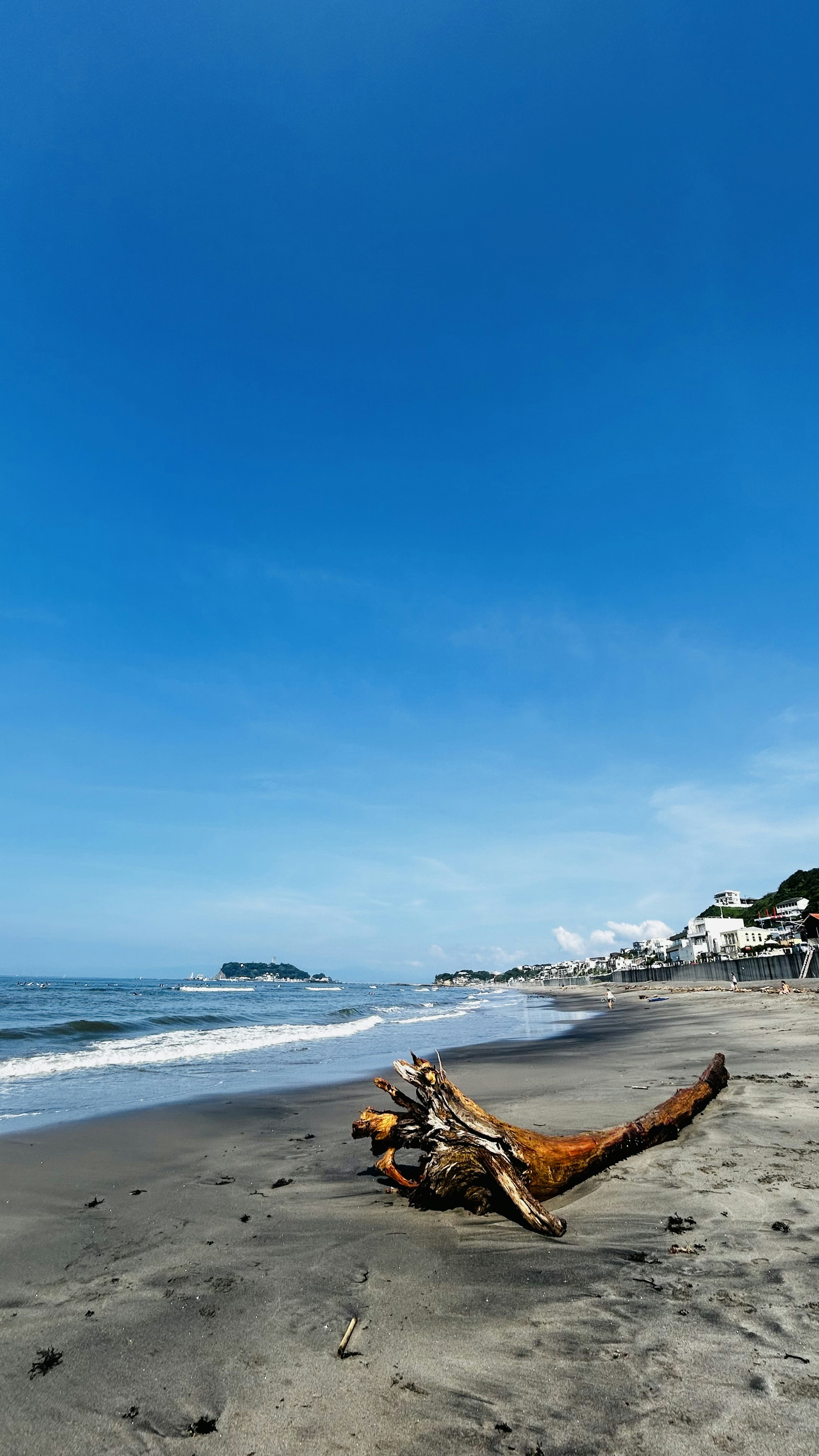 青い空と海の波が広がるビーチの風景 流木が砂浜に横たわっている