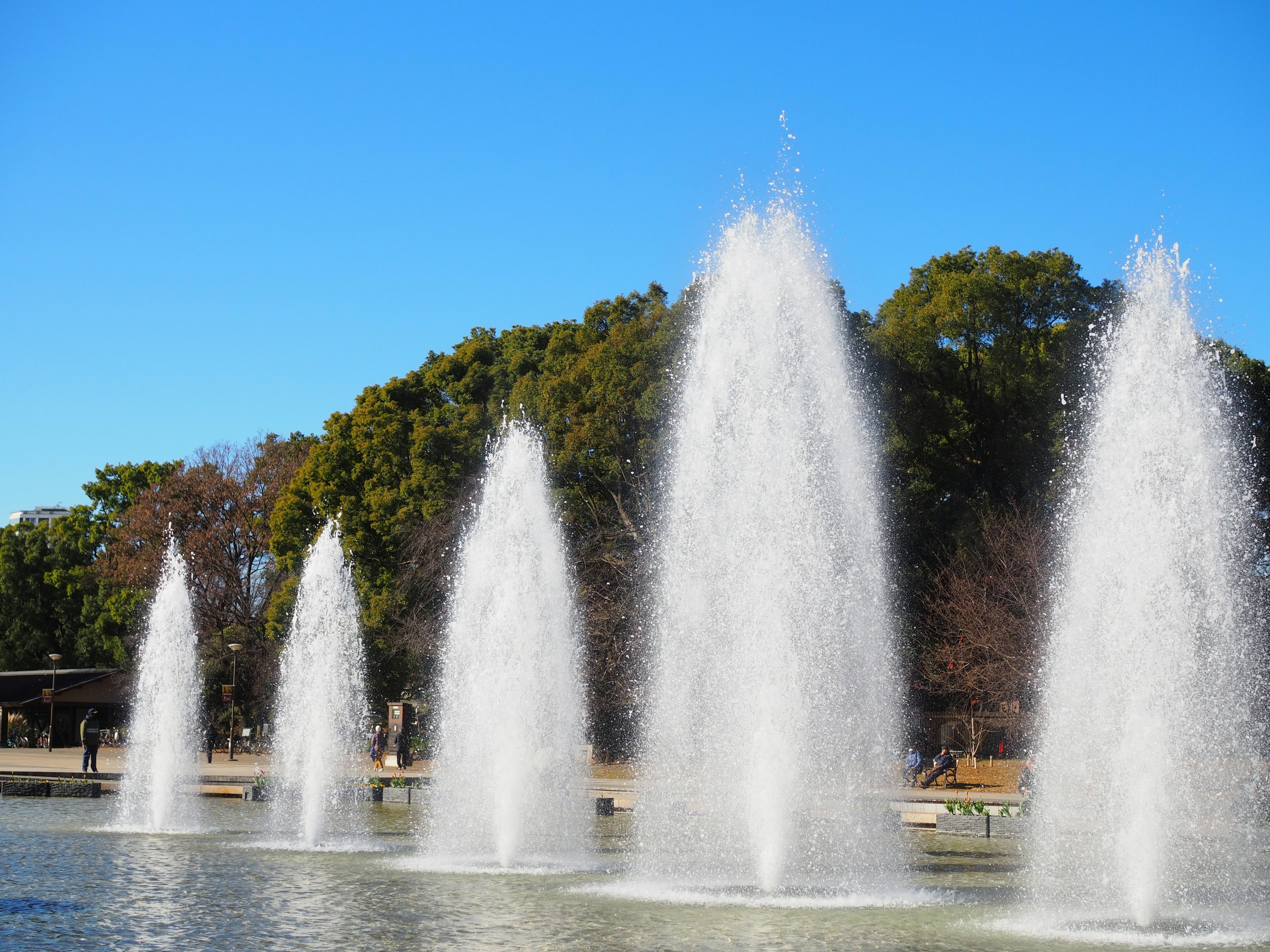 公園の池にある噴水群と青空