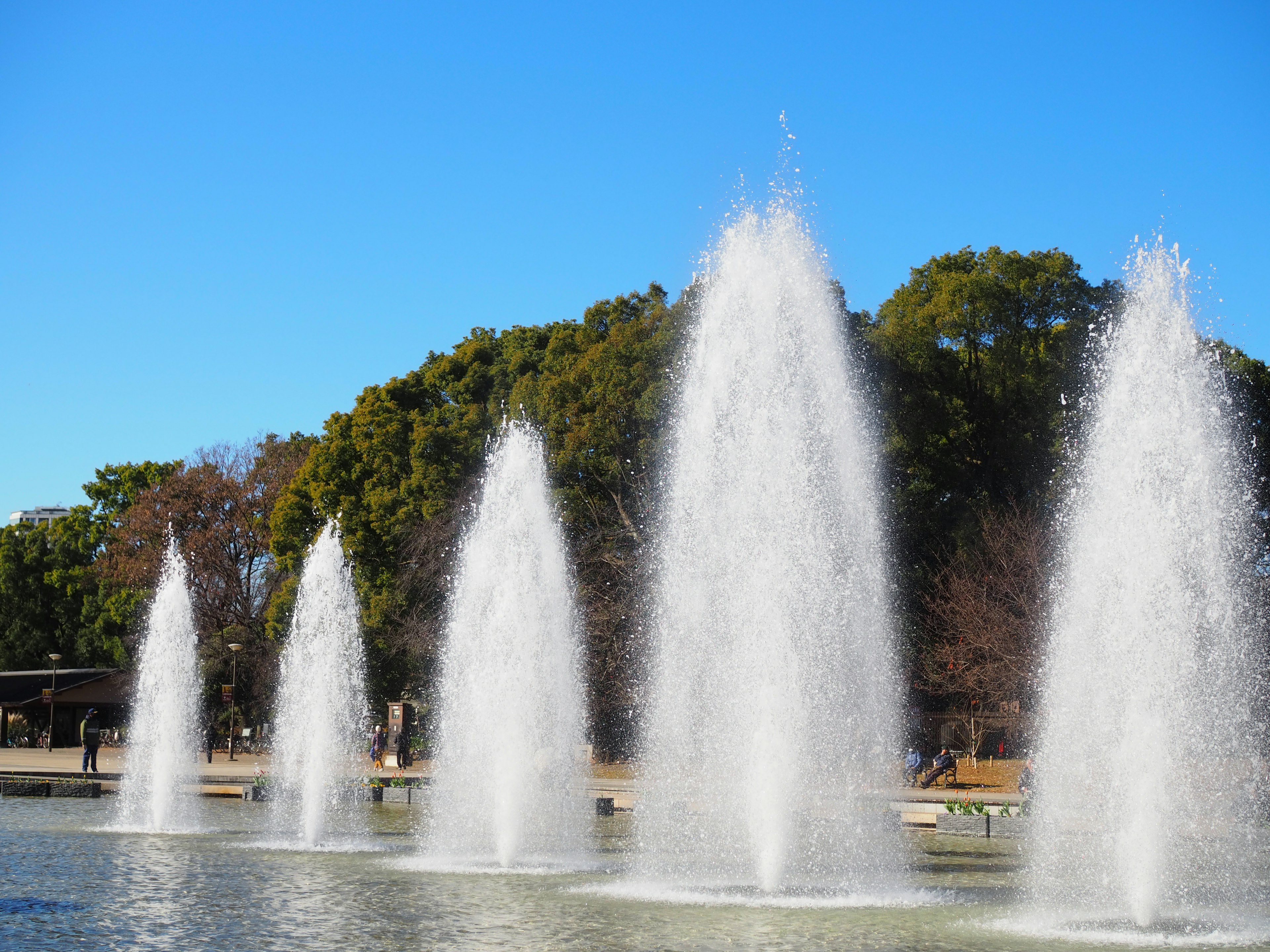 Un groupe de fontaines dans un étang de parc sous un ciel bleu clair