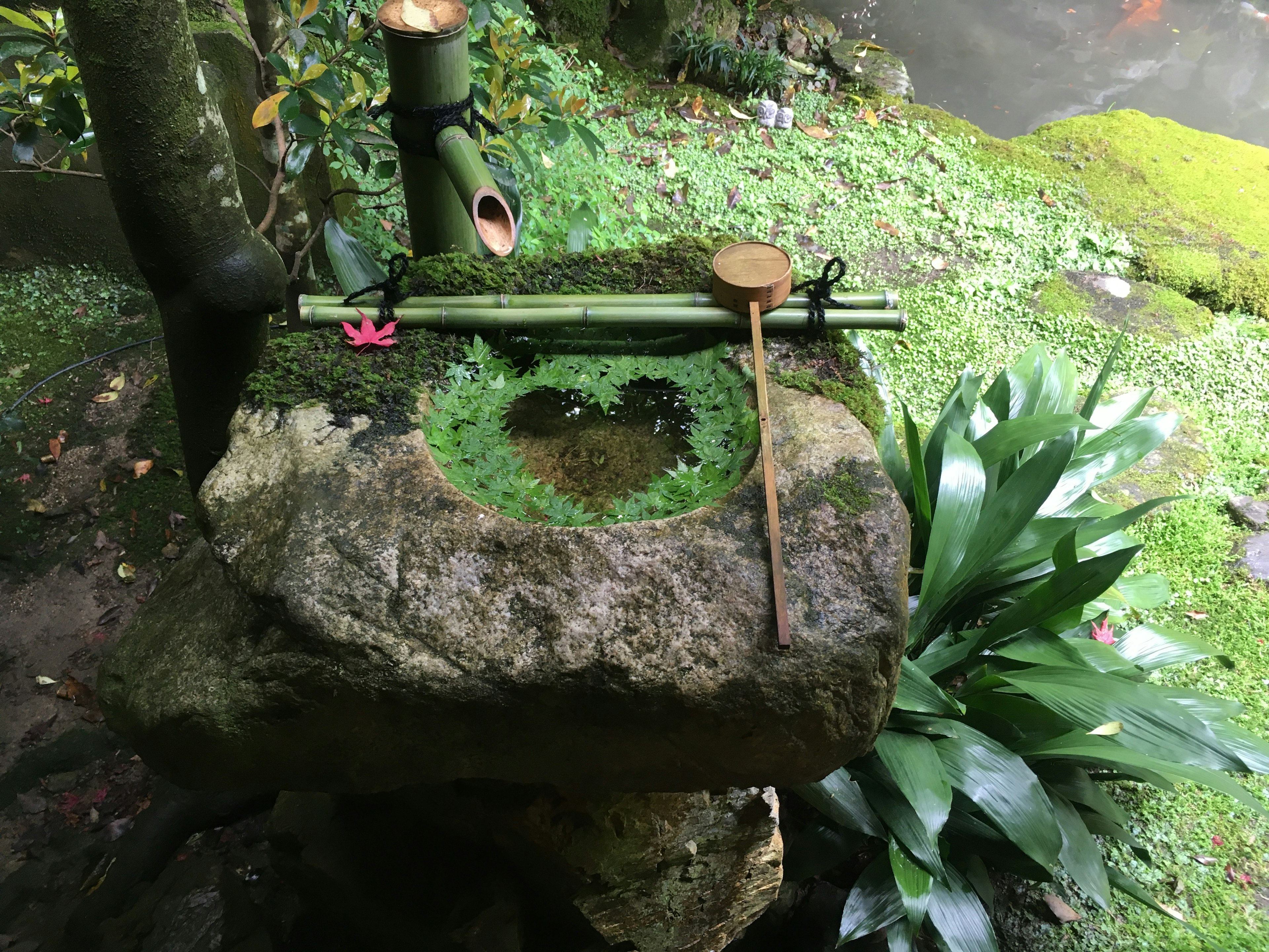 A stone covered in green moss with a bamboo water spout and wooden ladle on top