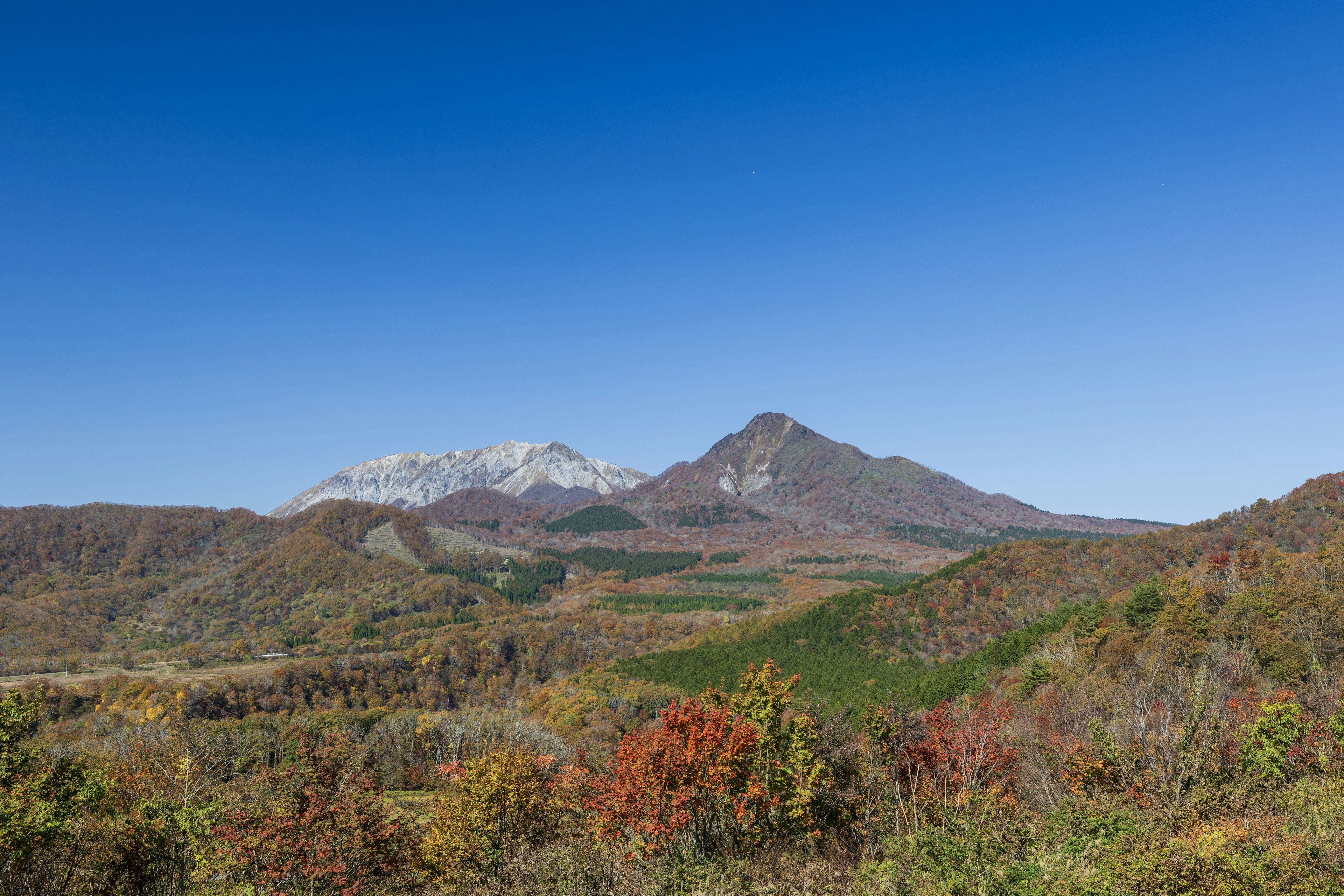 ทิวทัศน์ที่สวยงามของต้นไม้ฤดูใบไม้ร่วงที่มีสีสันและภูเขาที่สูงใหญ่