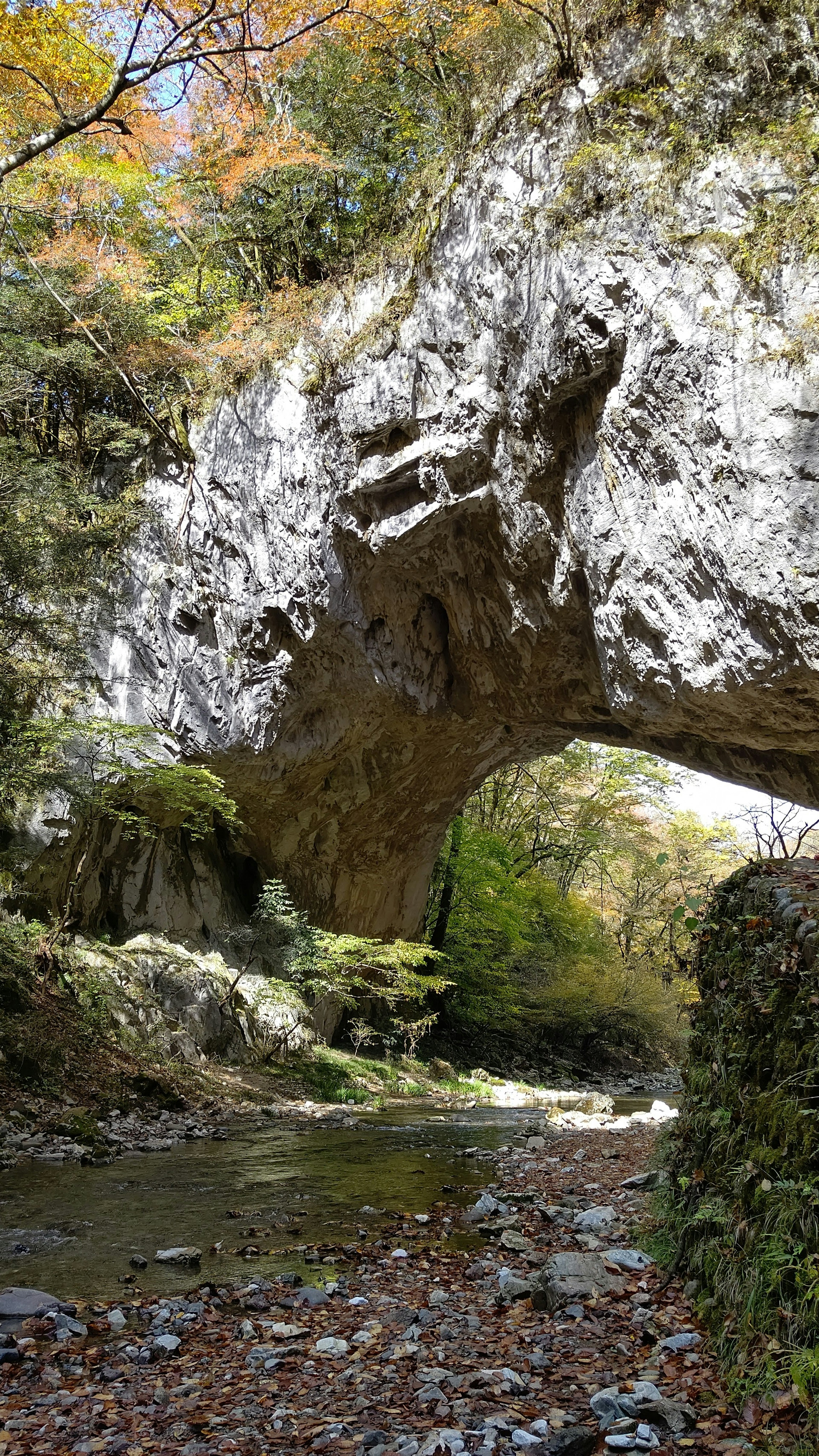 Grande arco di roccia con un fiume che scorre e foglie autunnali vivaci