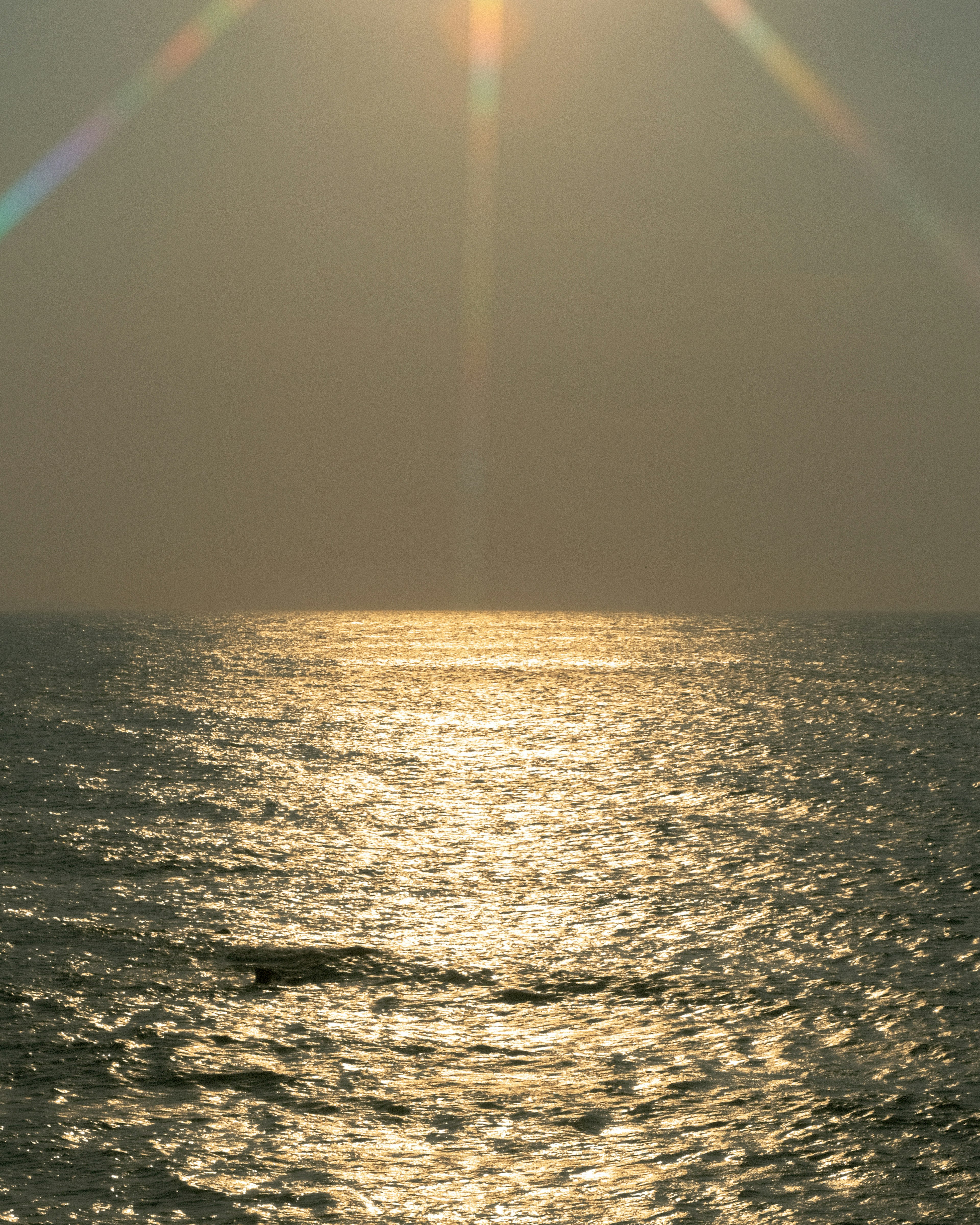 海に反射する太陽の光と波の様子