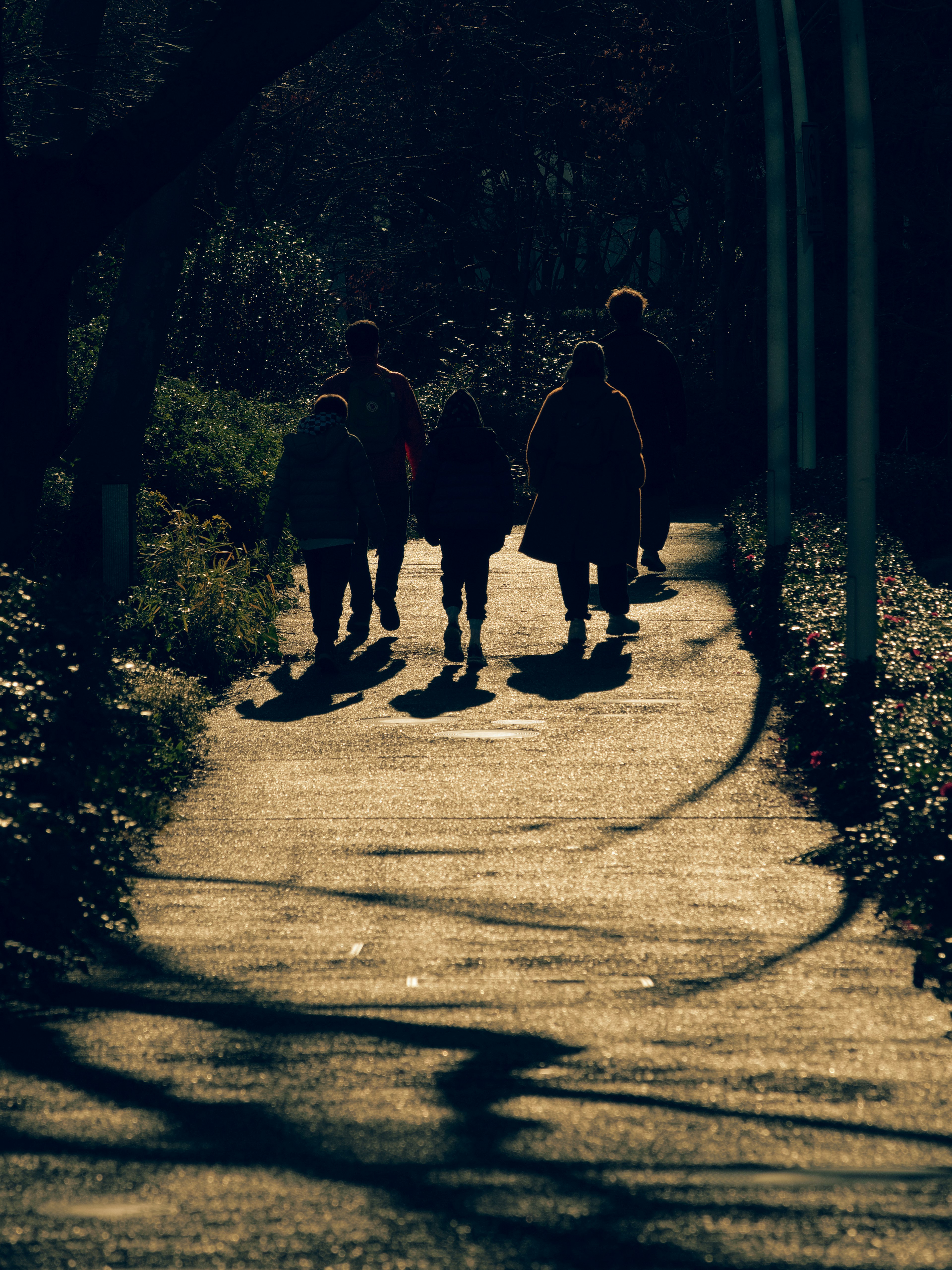 Silhouettes de personnes marchant sur un chemin faiblement éclairé avec des ombres