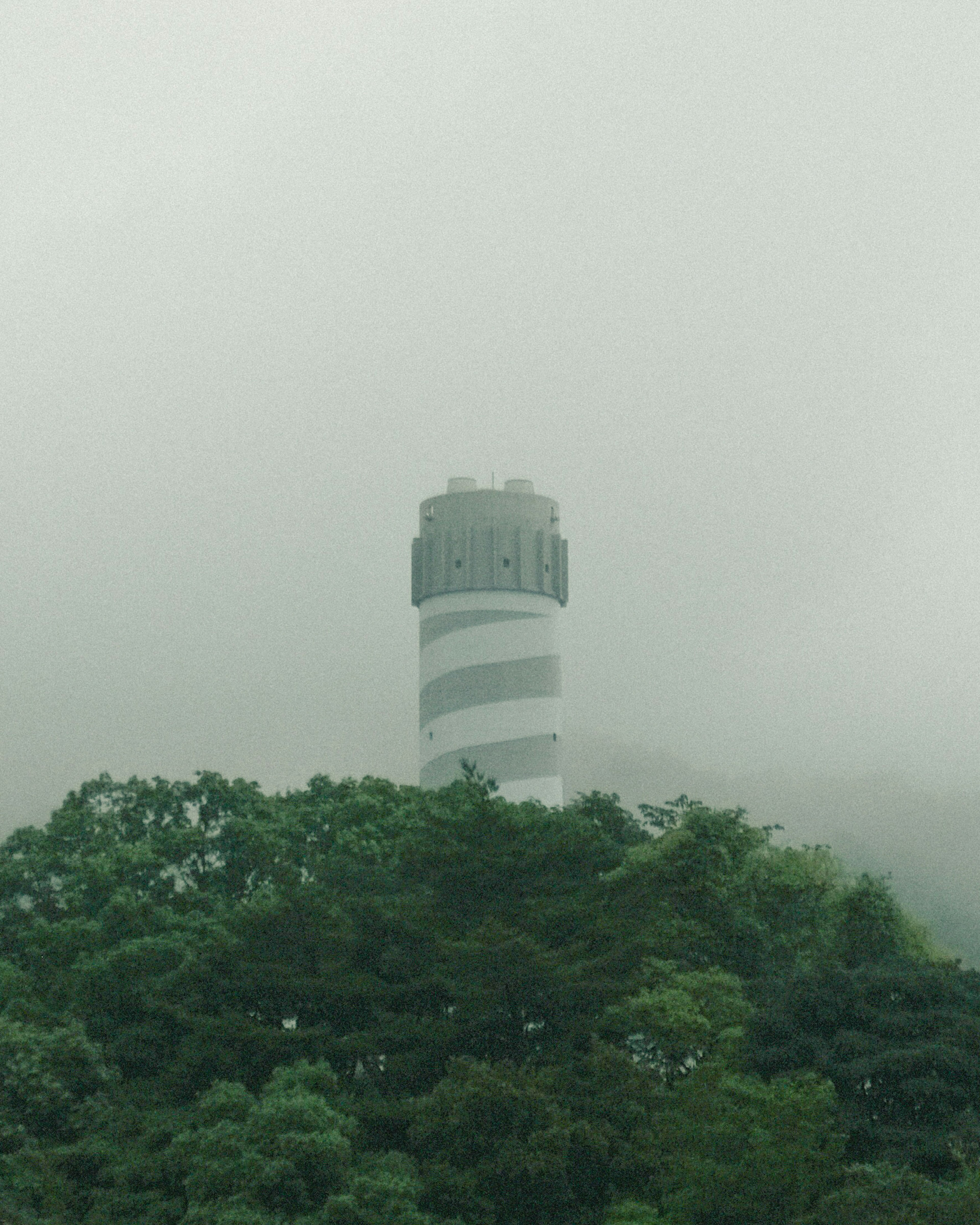 Turm in Nebel gehüllt mit üppigen grünen Bäumen