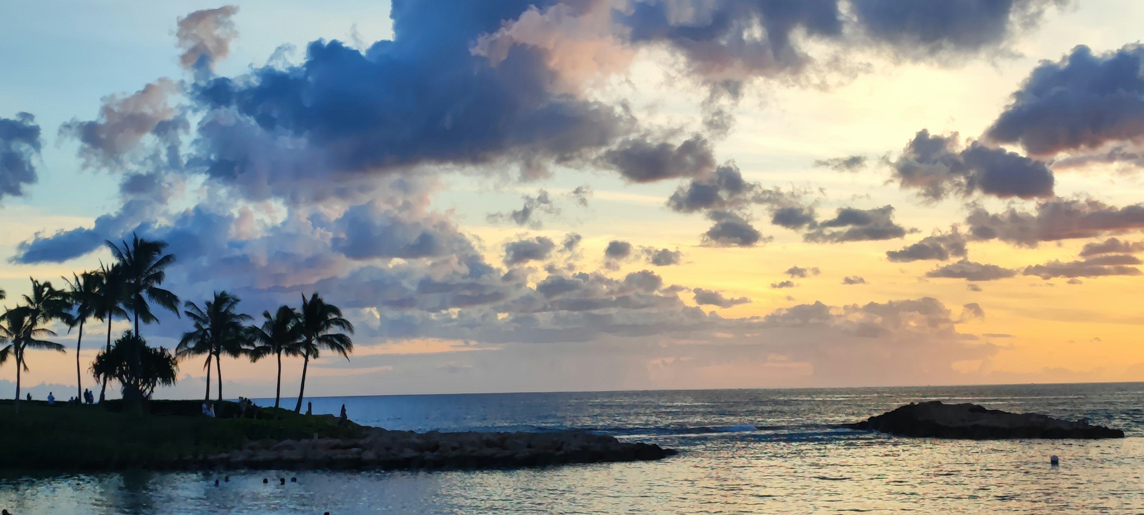 Beautiful ocean sunset with palm trees in the foreground