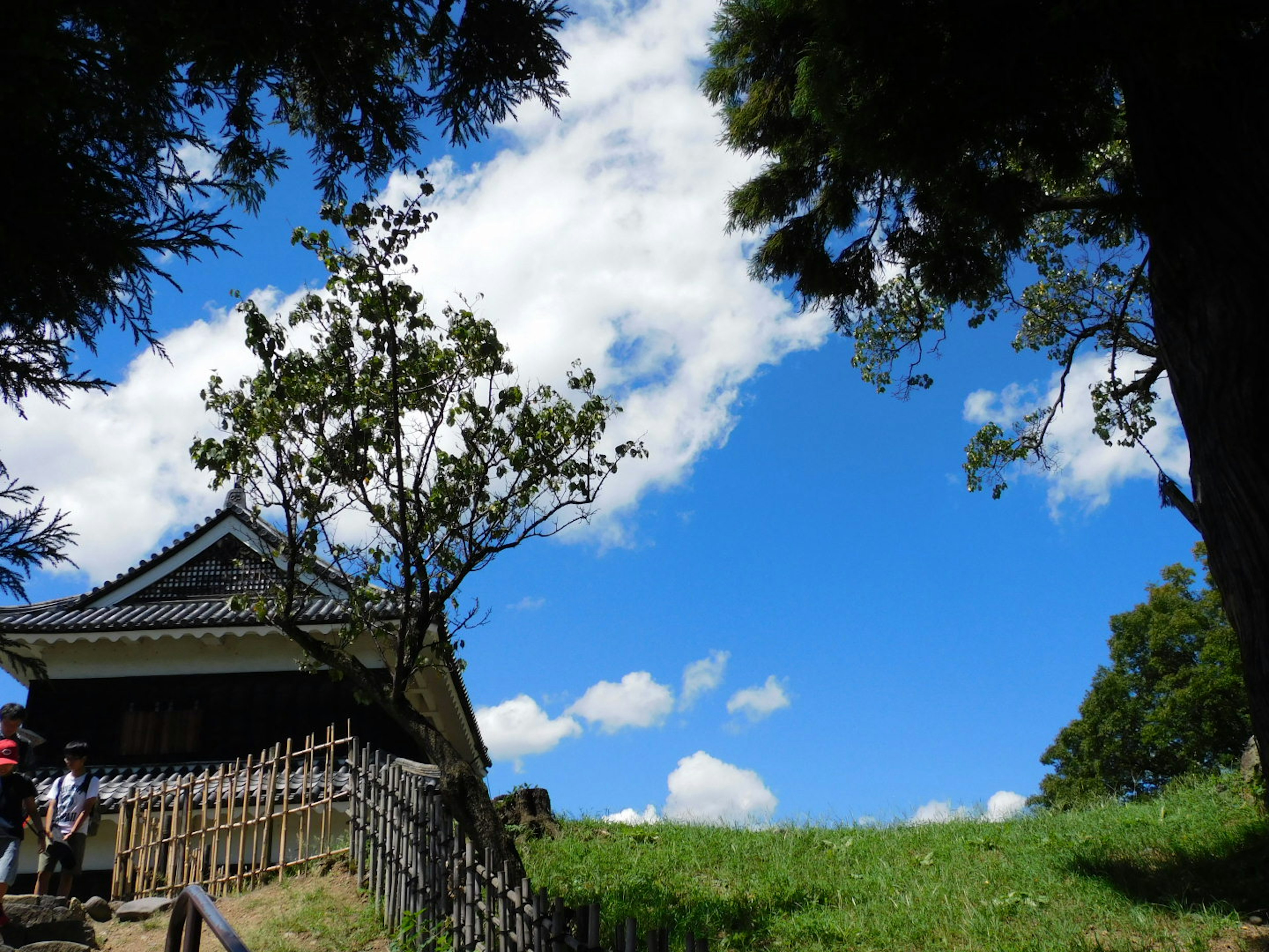 青空と白い雲の下にある伝統的な建物と緑の草地