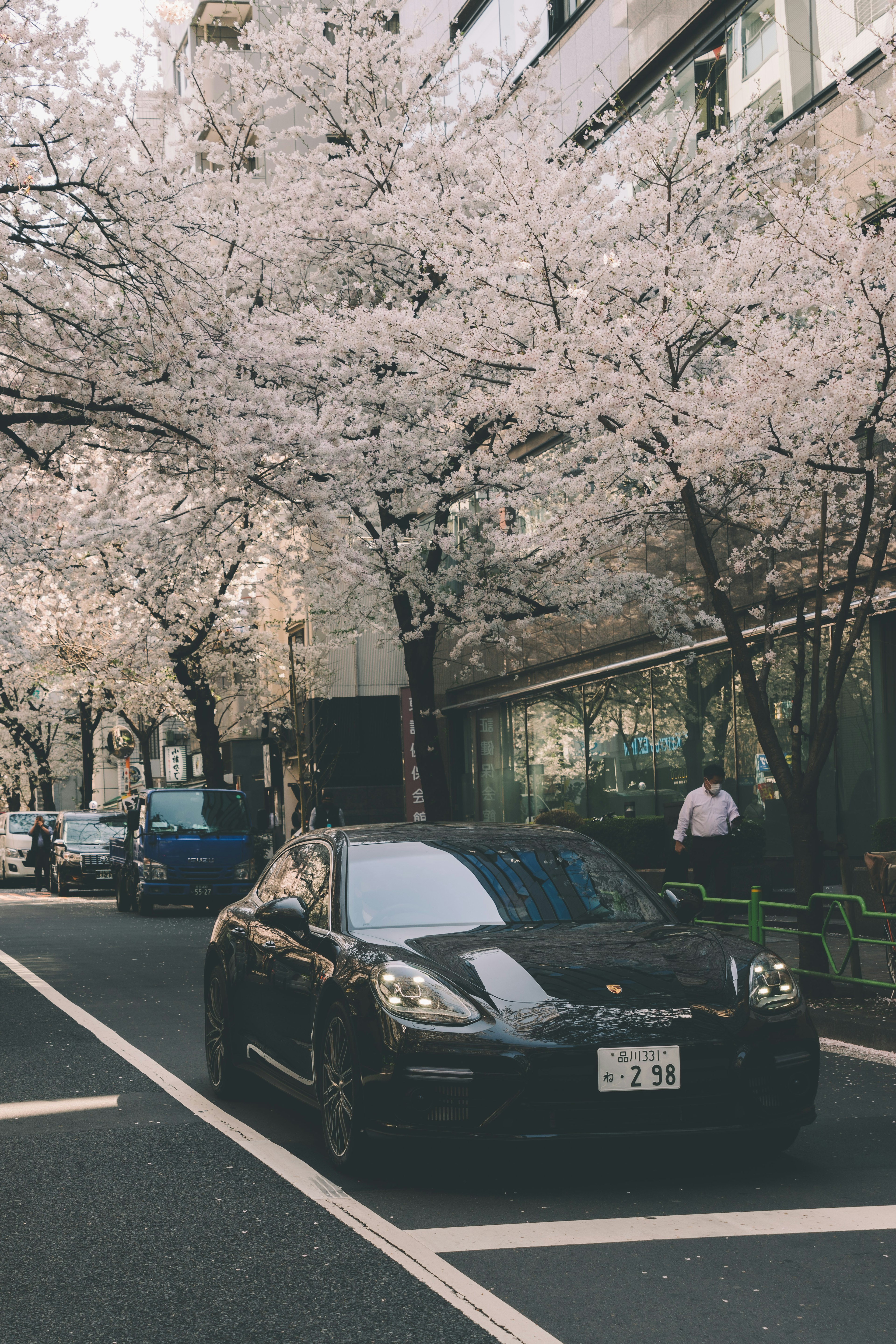 Voiture de sport noire sur une rue bordée d'arbres en fleurs