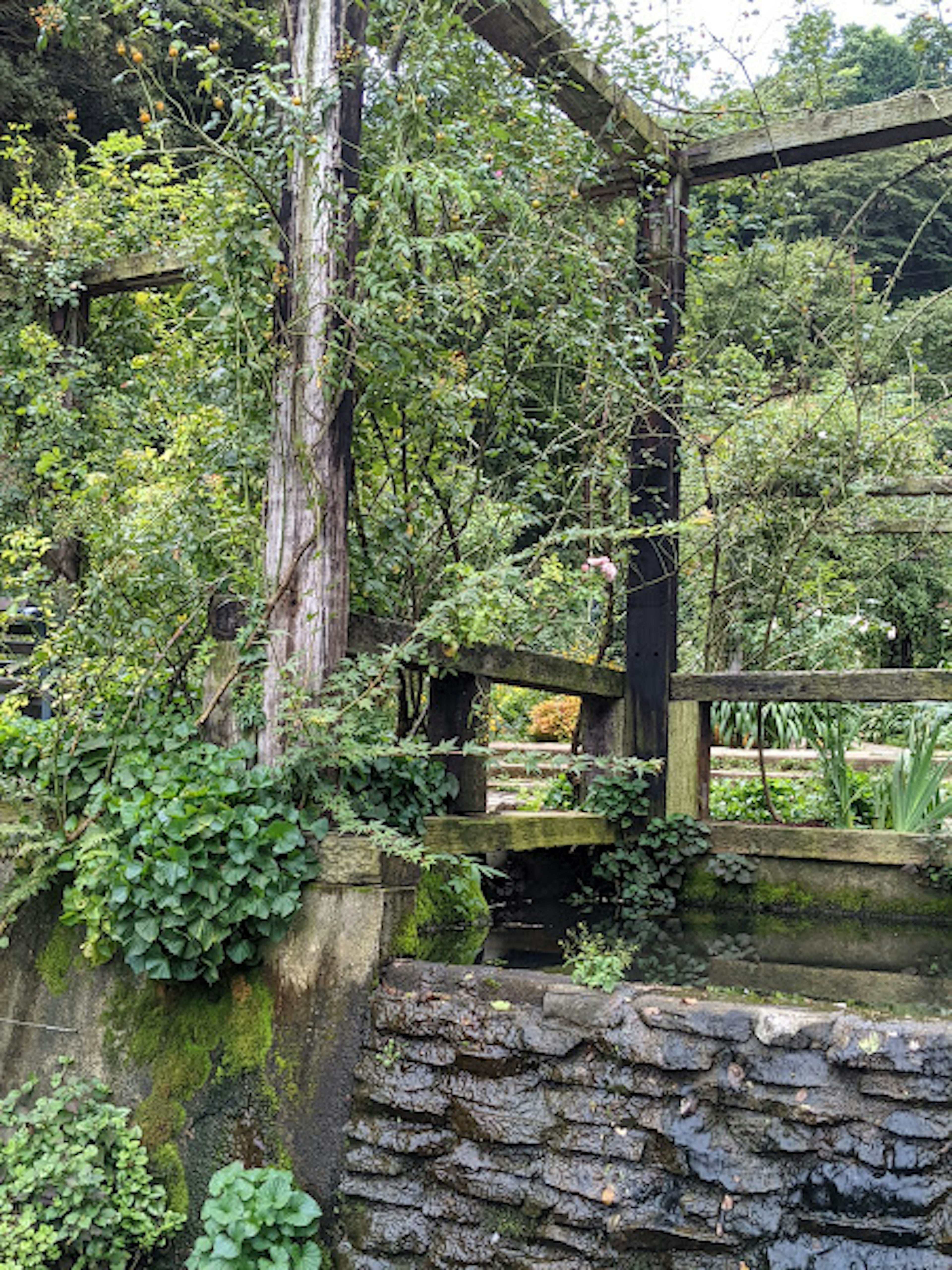 緑に覆われた古い木の構造物と石の壁が特徴の風景