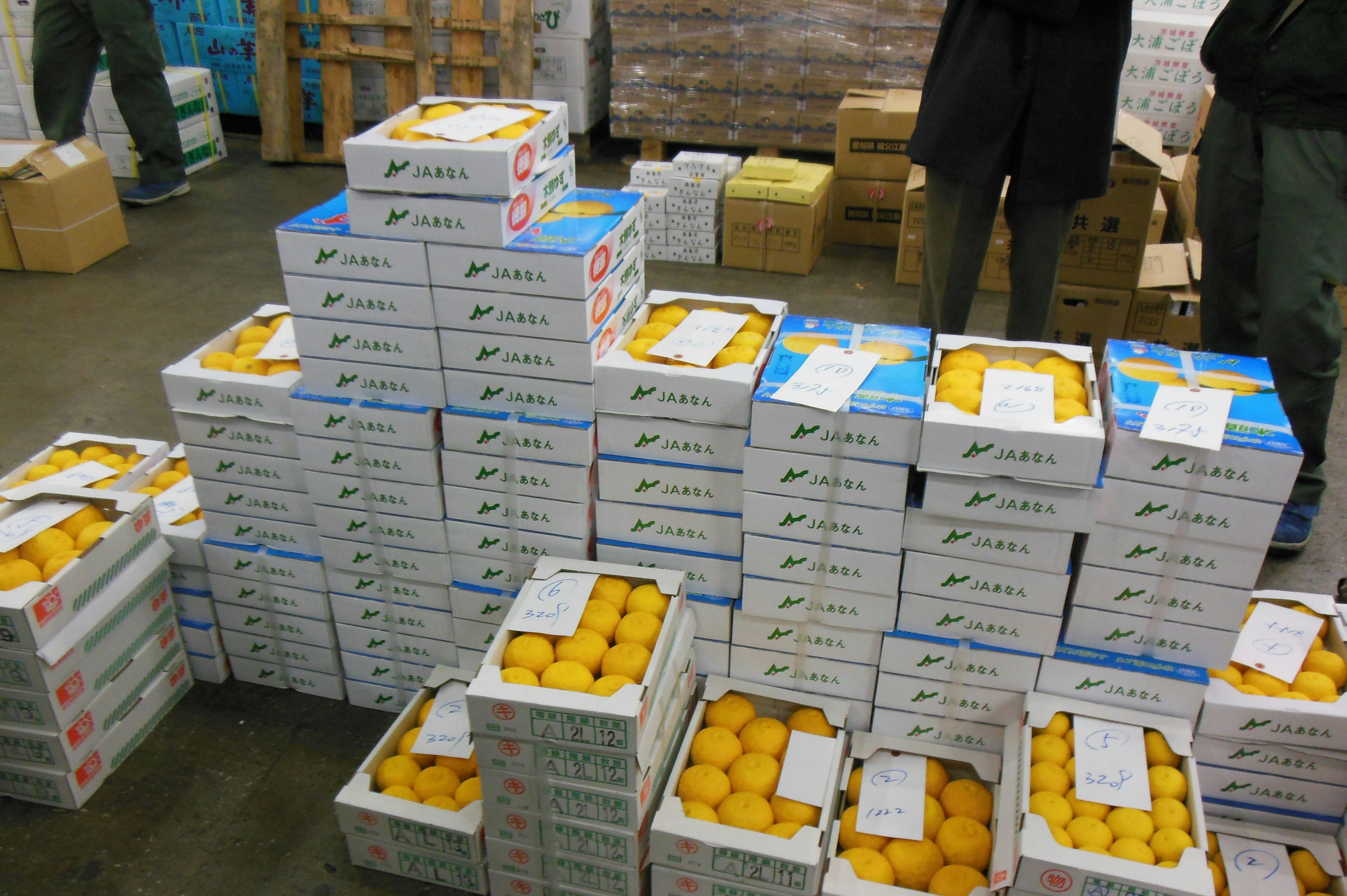 Cajas apiladas de naranjas dentro de un almacén