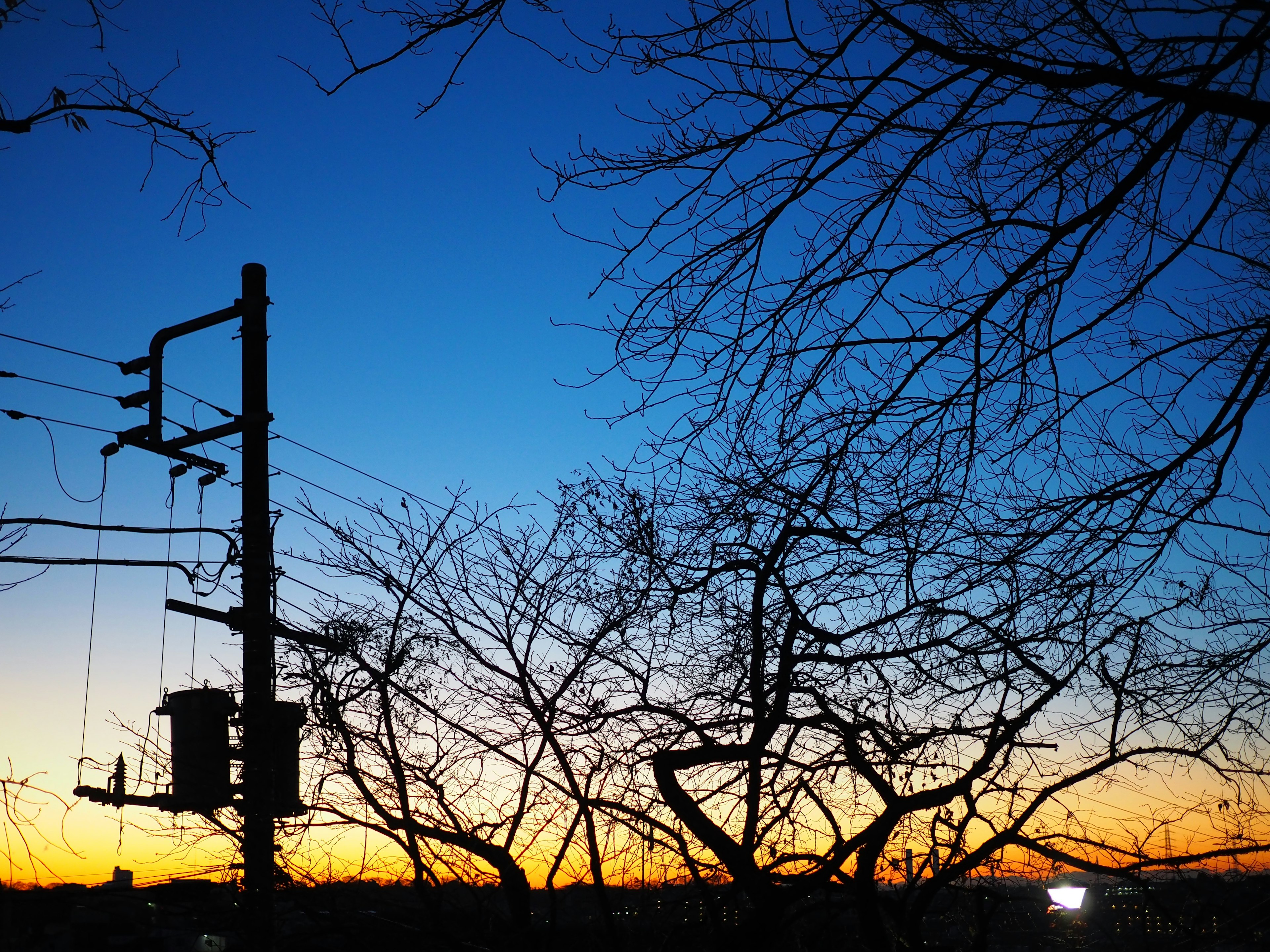 Paesaggio con cielo al tramonto e alberi in silhouette con un palo elettrico