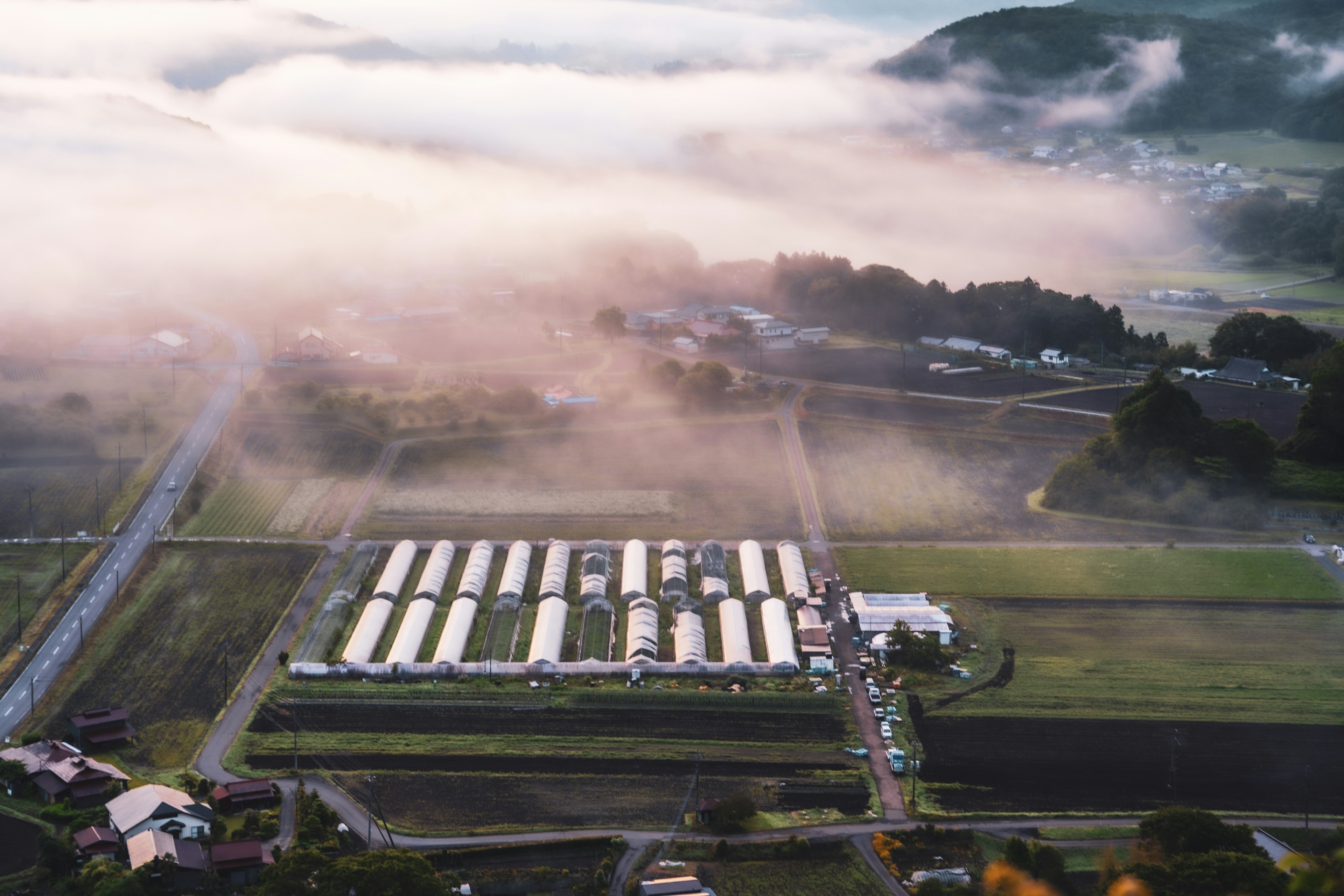 Vista aerea di una fattoria avvolta nella nebbia con campi verdi e serre bianche