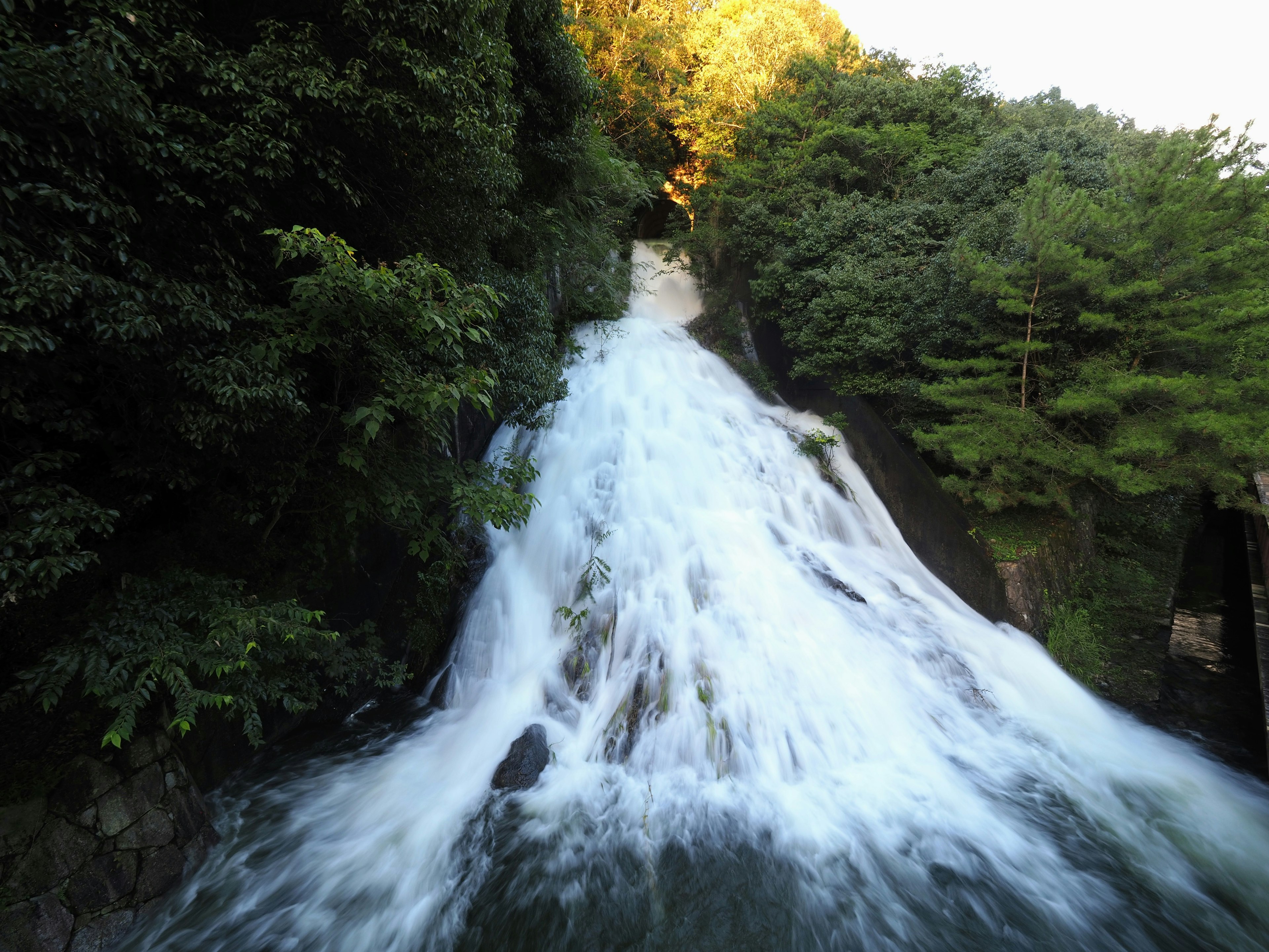 Ein schöner Wasserfall, der durch einen üppigen grünen Wald mit umgebenden Bäumen fließt