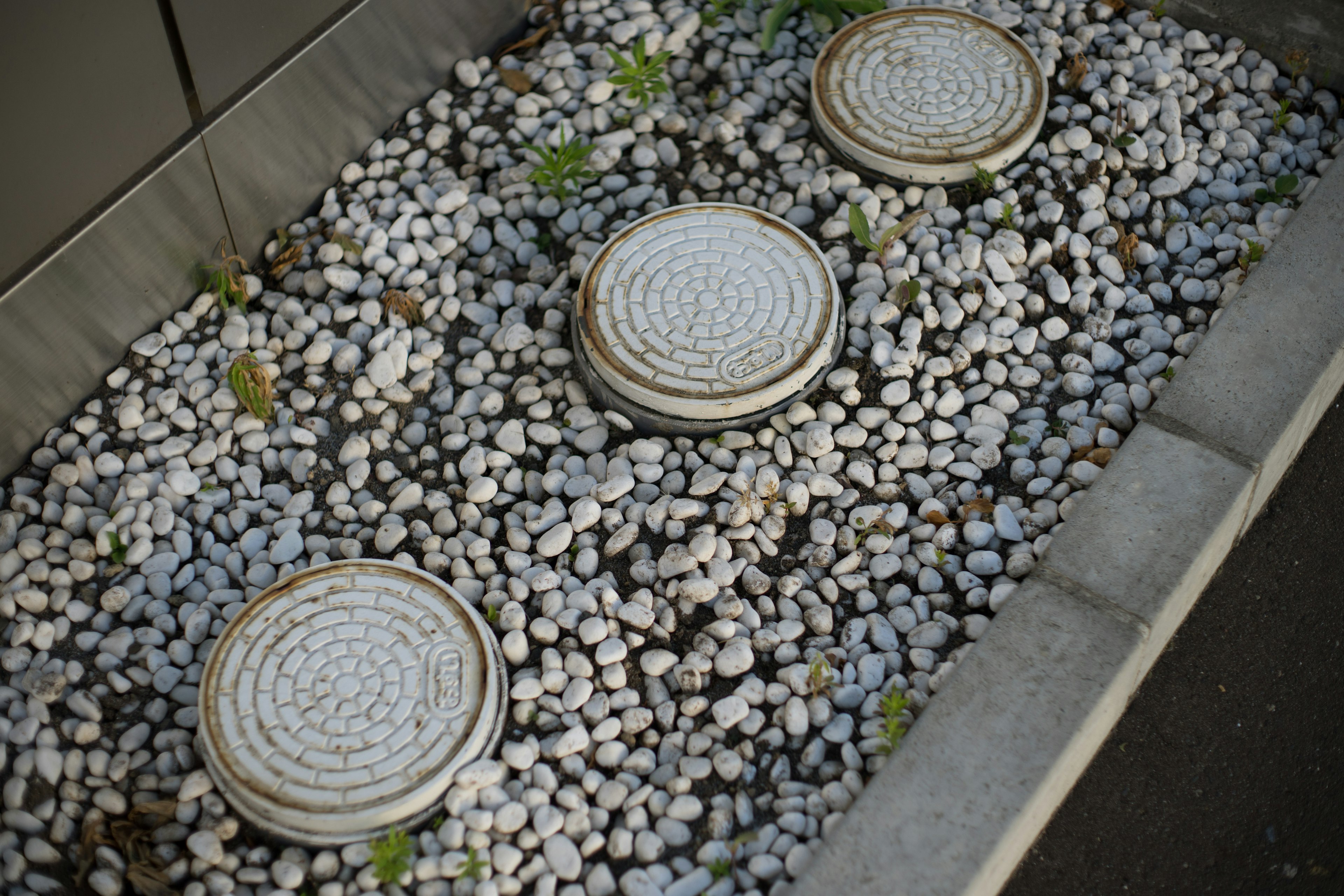 Una sección de jardín con tres losas redondas de piedra sobre grava blanca