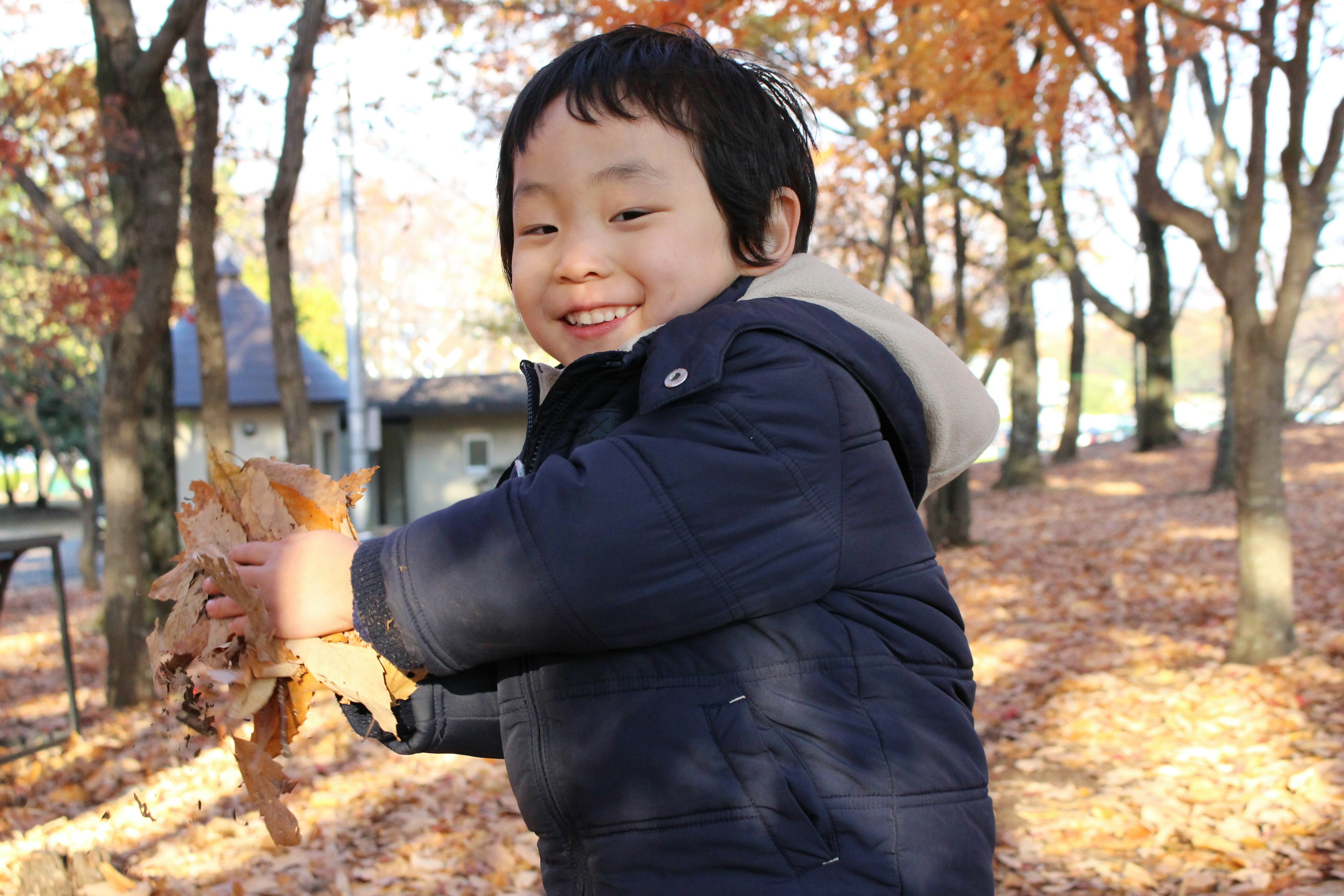 Niño sonriente sosteniendo hojas caídas en un parque