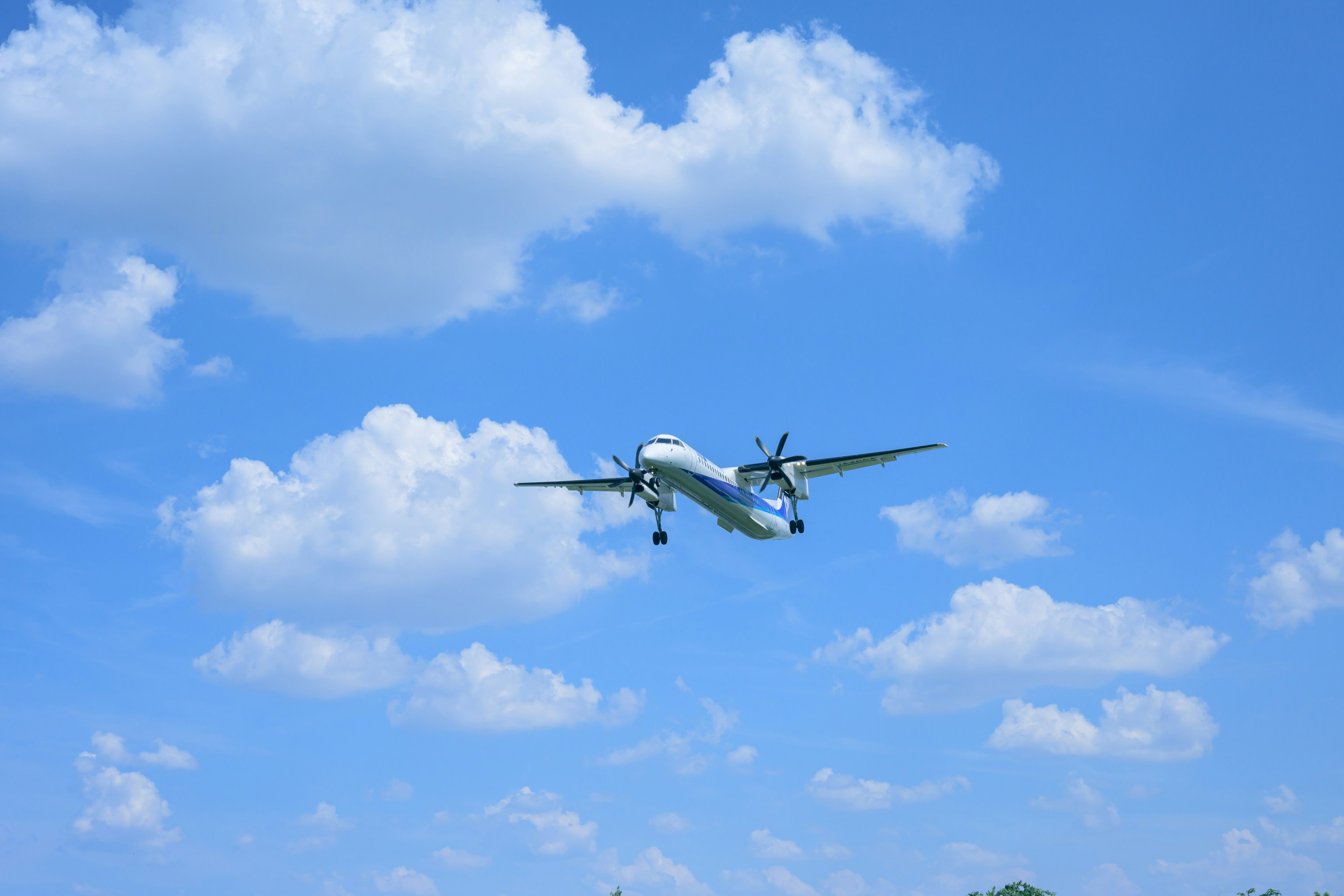 青空に飛行機が飛んでいる様子