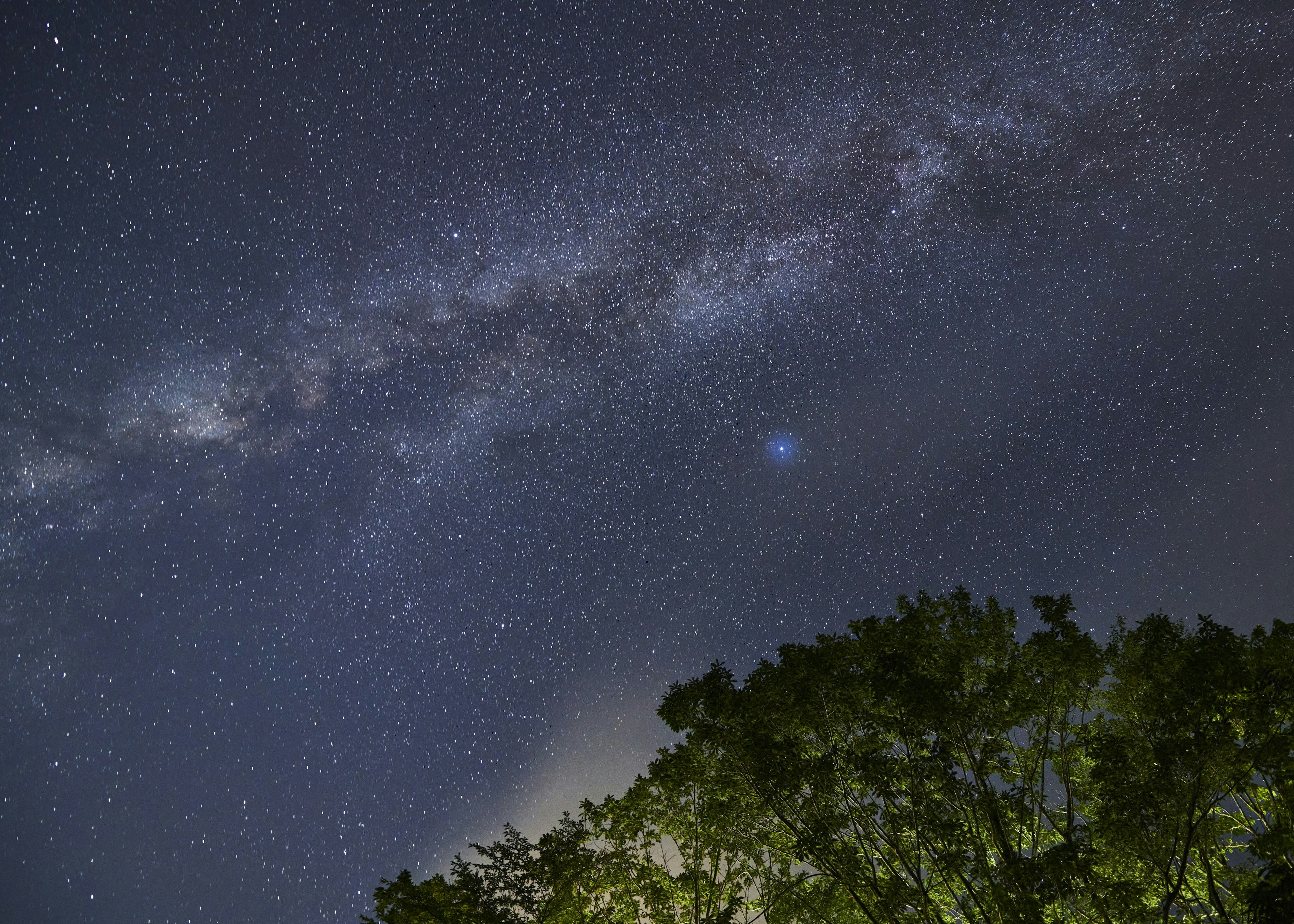 美麗的夜空景色可見銀河前景中的樹木輪廓