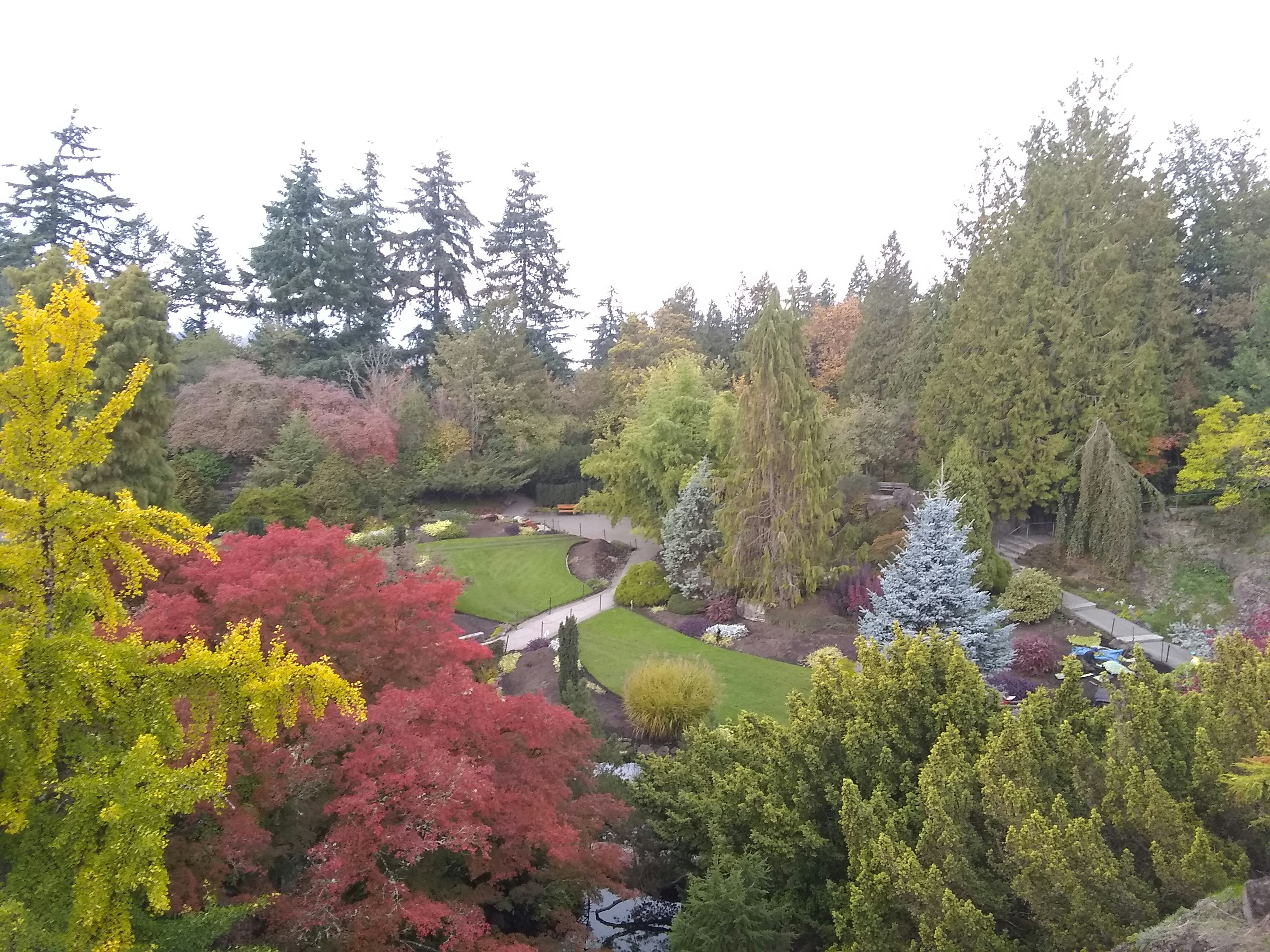 Una vista escénica de jardín con árboles vibrantes y senderos