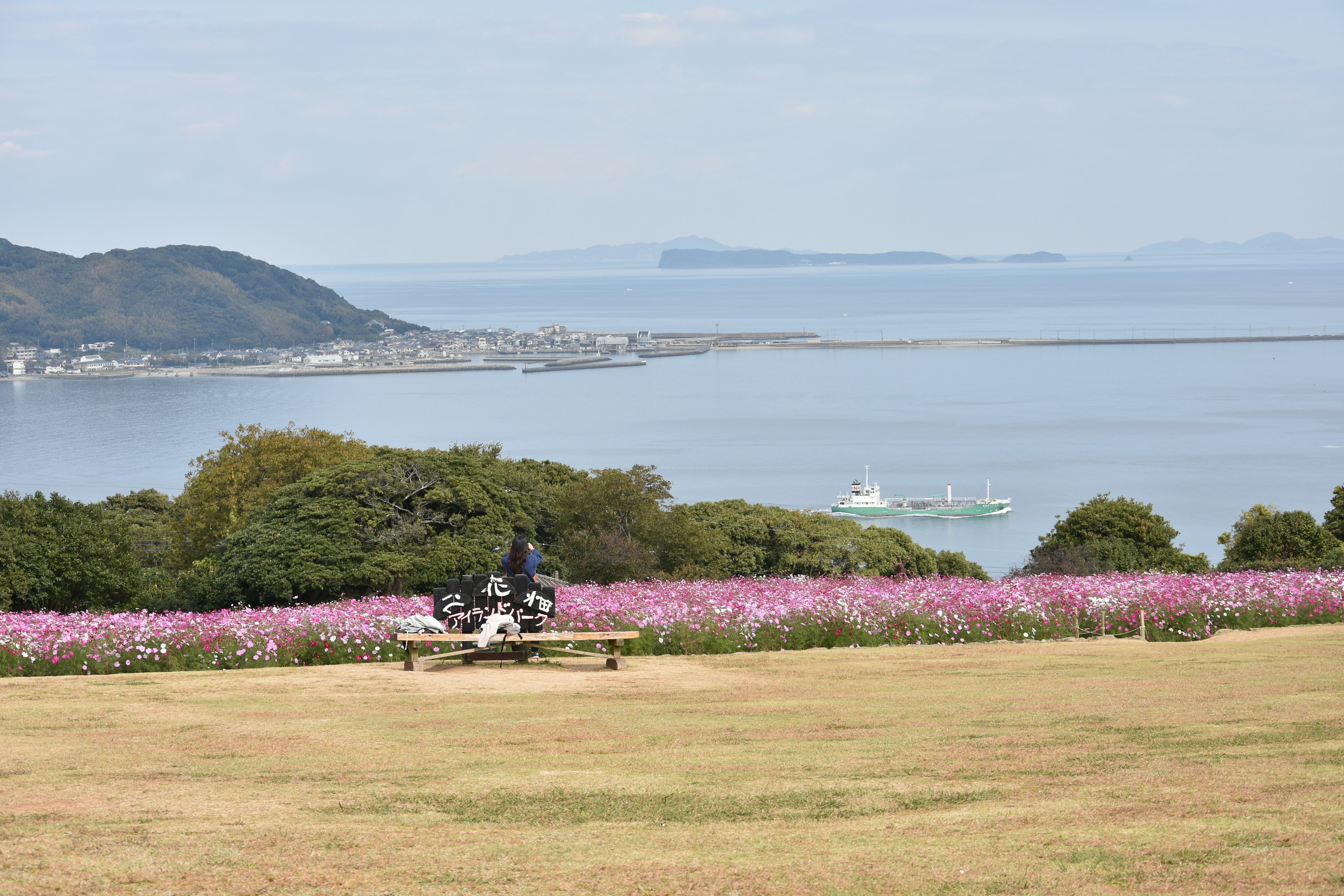 风景如画的公园，有色彩斑斓的花朵和海洋作为背景