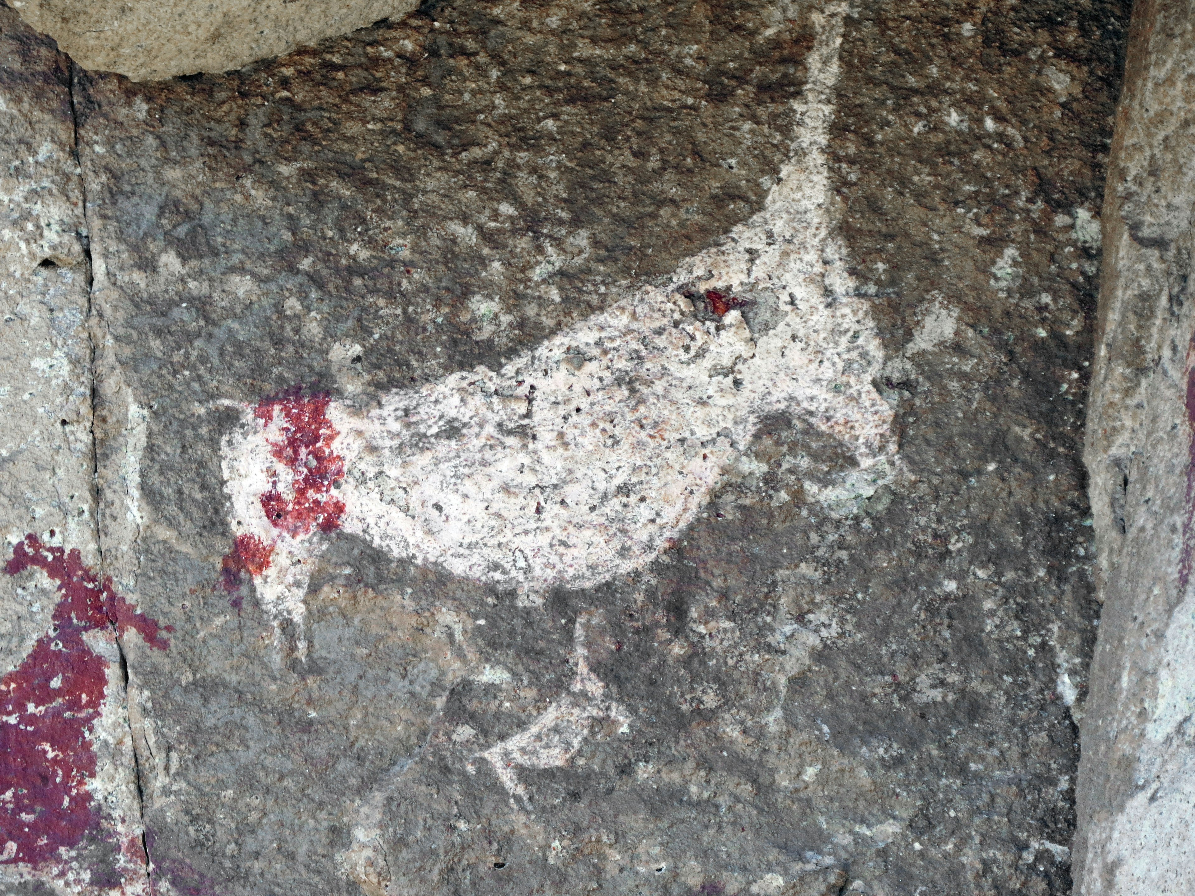 Ancient cave painting of a white bird