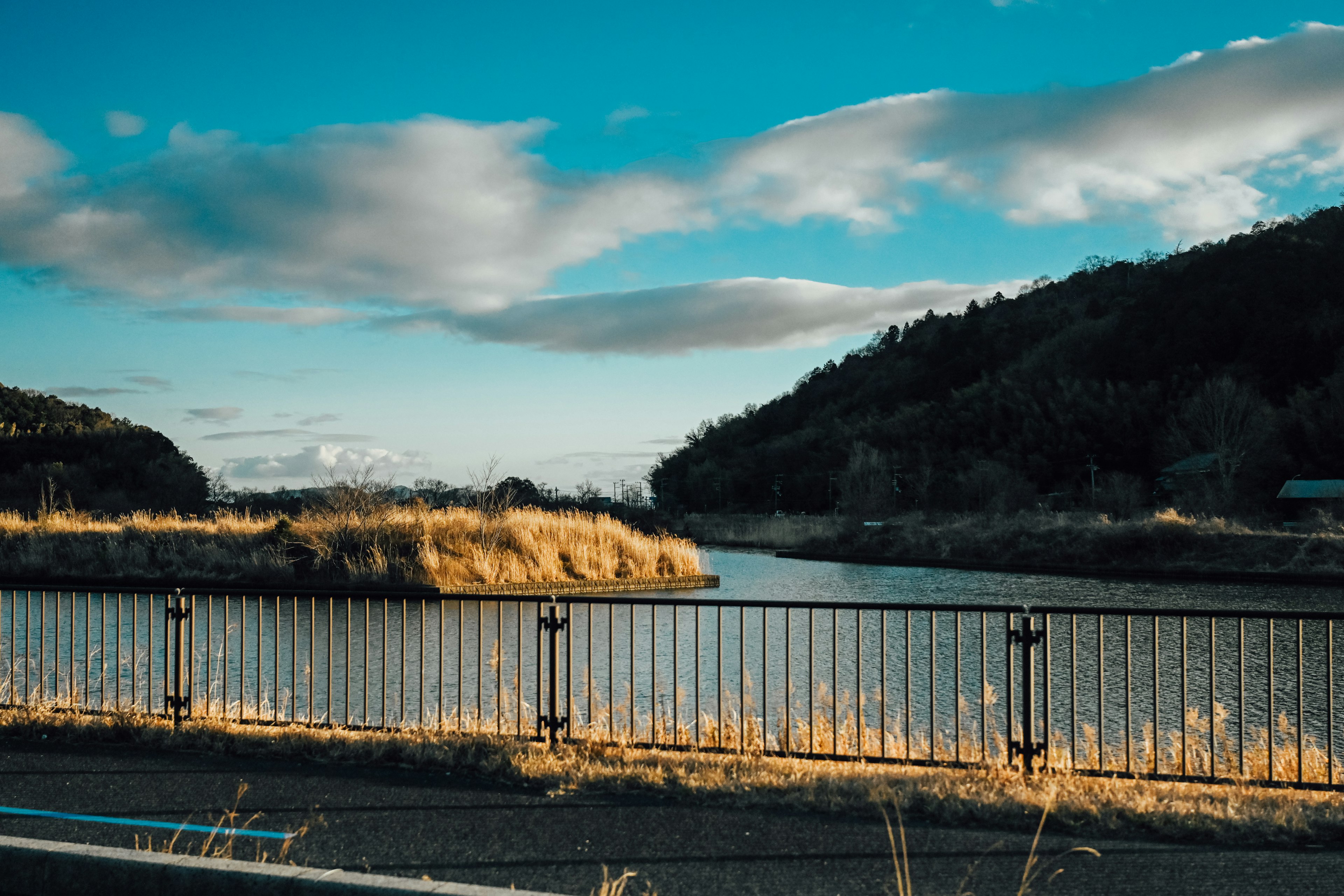 Paesaggio di fiume tranquillo con cielo blu che presenta una recinzione in metallo e un'area erbosa