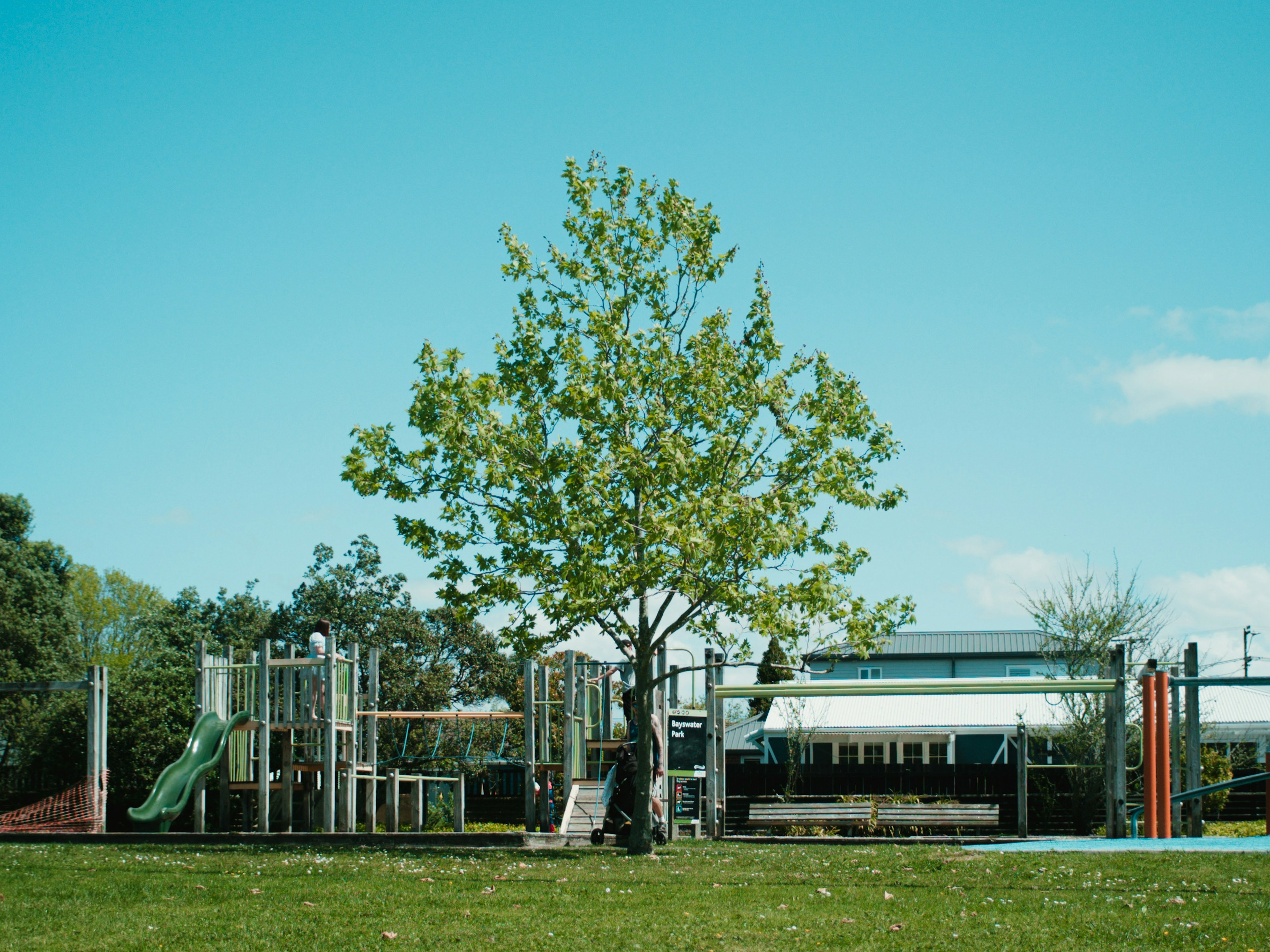 Equipo de parque con un árbol verde bajo un cielo azul