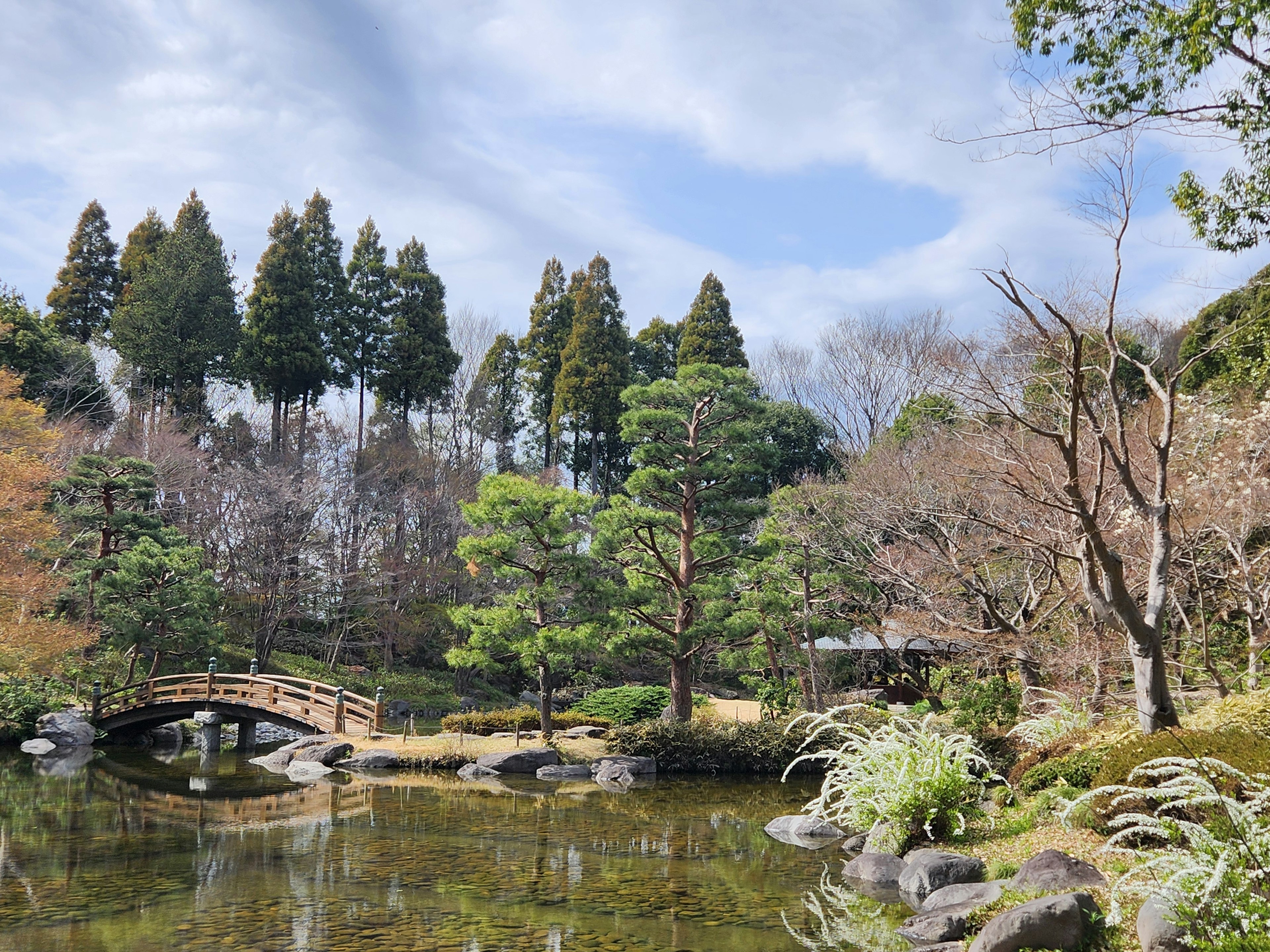 寧靜的日本庭園池塘和樹木橫跨水面的橋