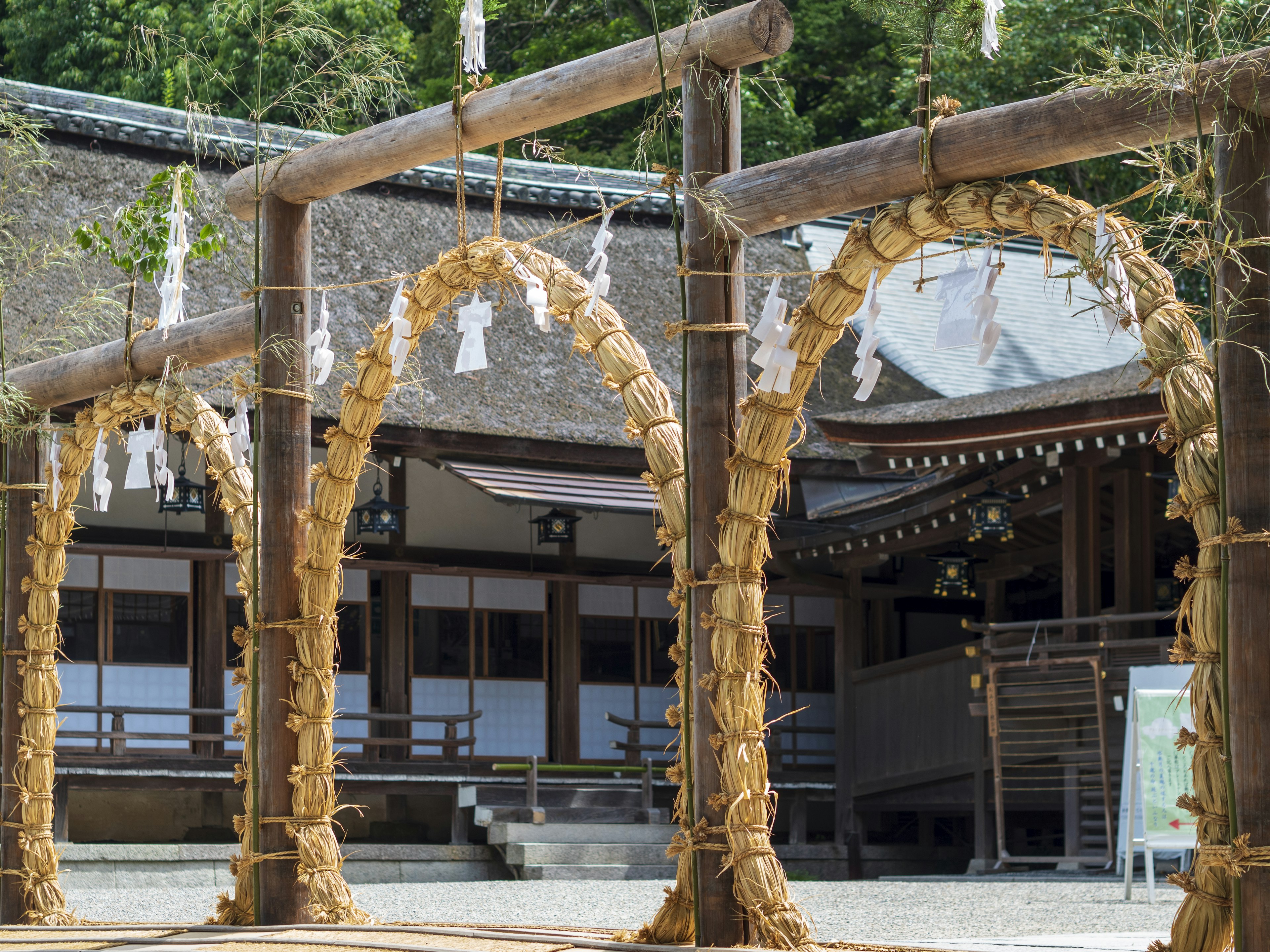 竹のアーチと神社の建物が見える静かな風景