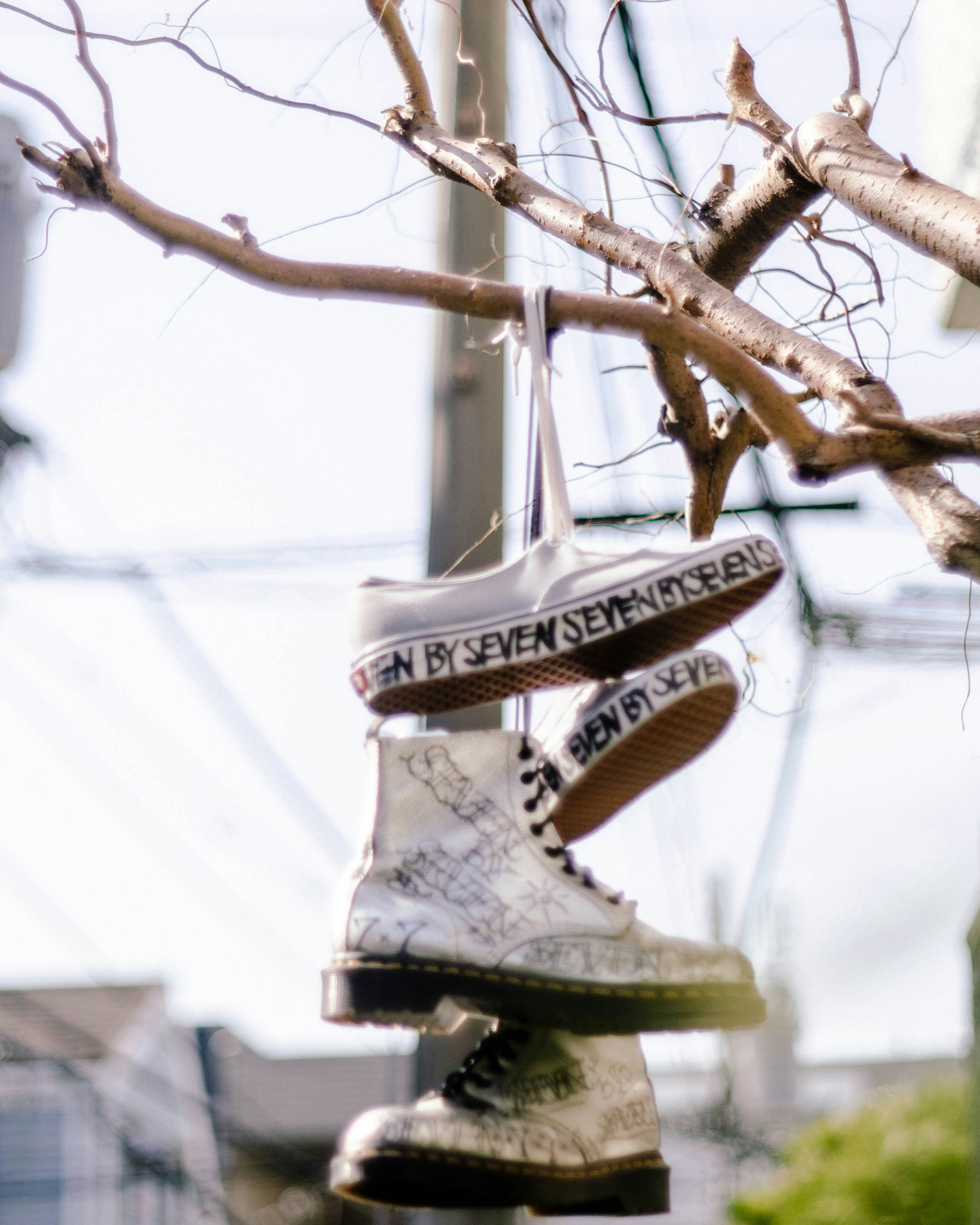 Botas blancas colgadas de una rama de árbol