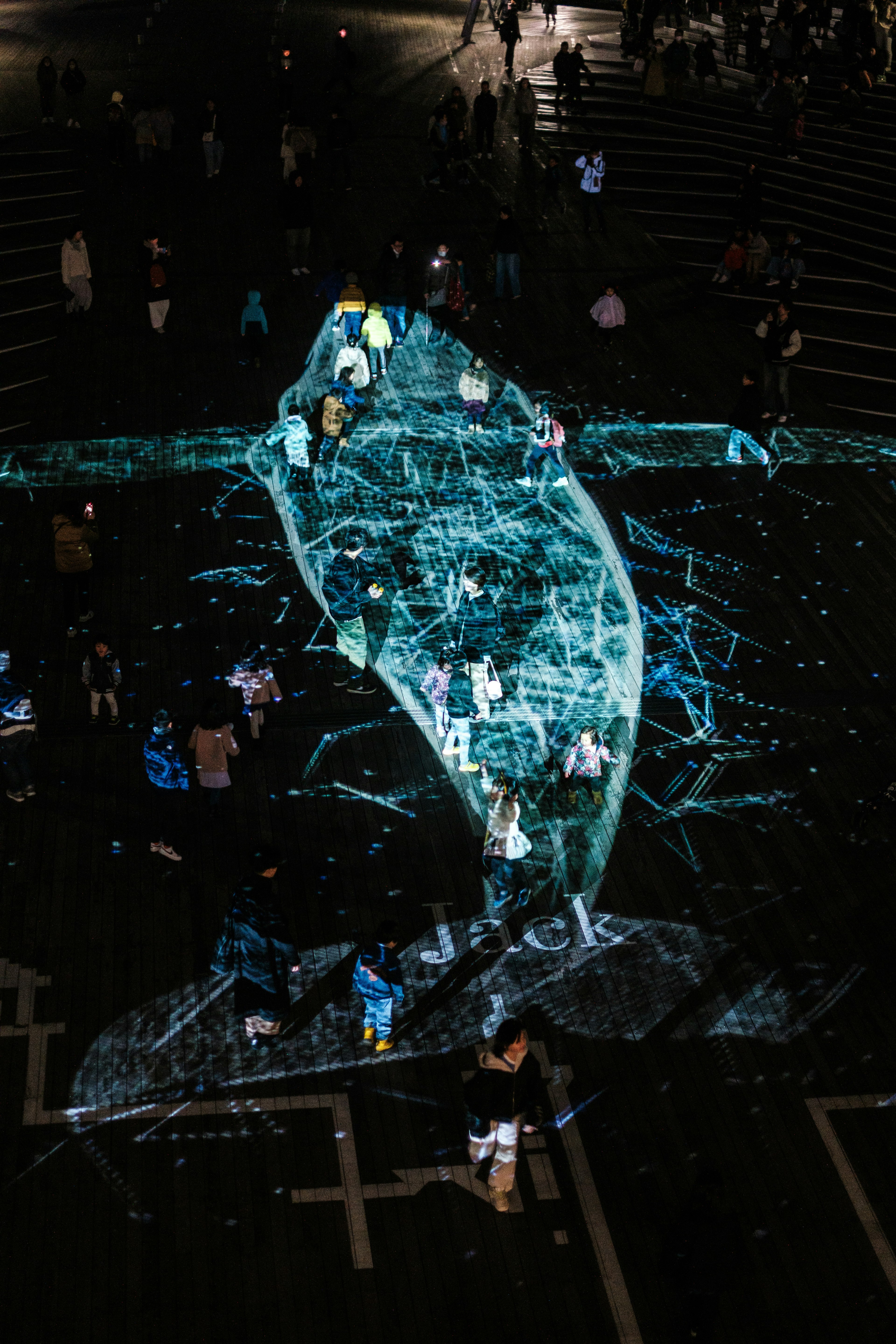 Large whale projection on the street at night with people gathered around