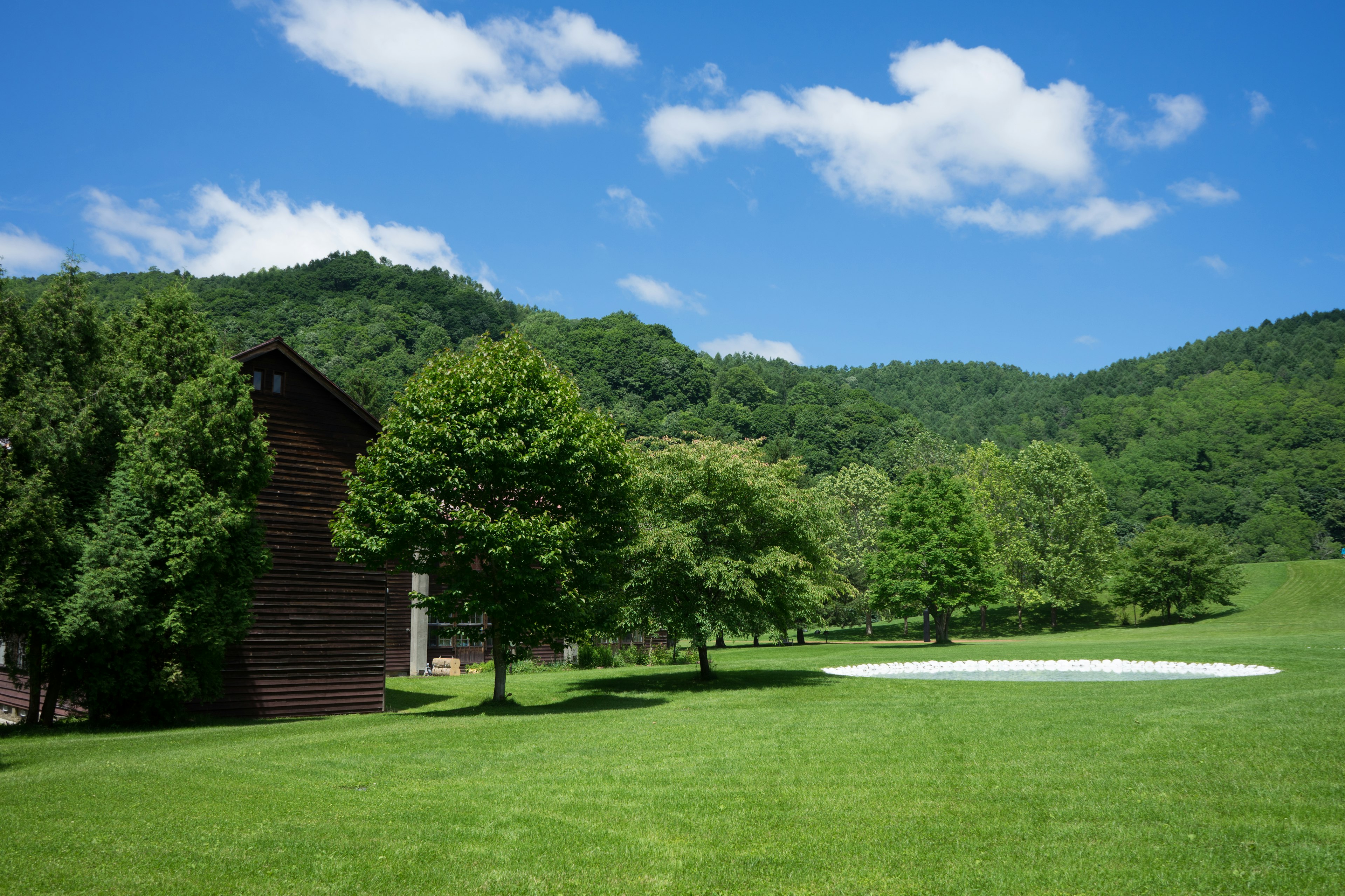 Un paysage avec un ciel bleu et une prairie verte avec des arbres et un bâtiment en bois