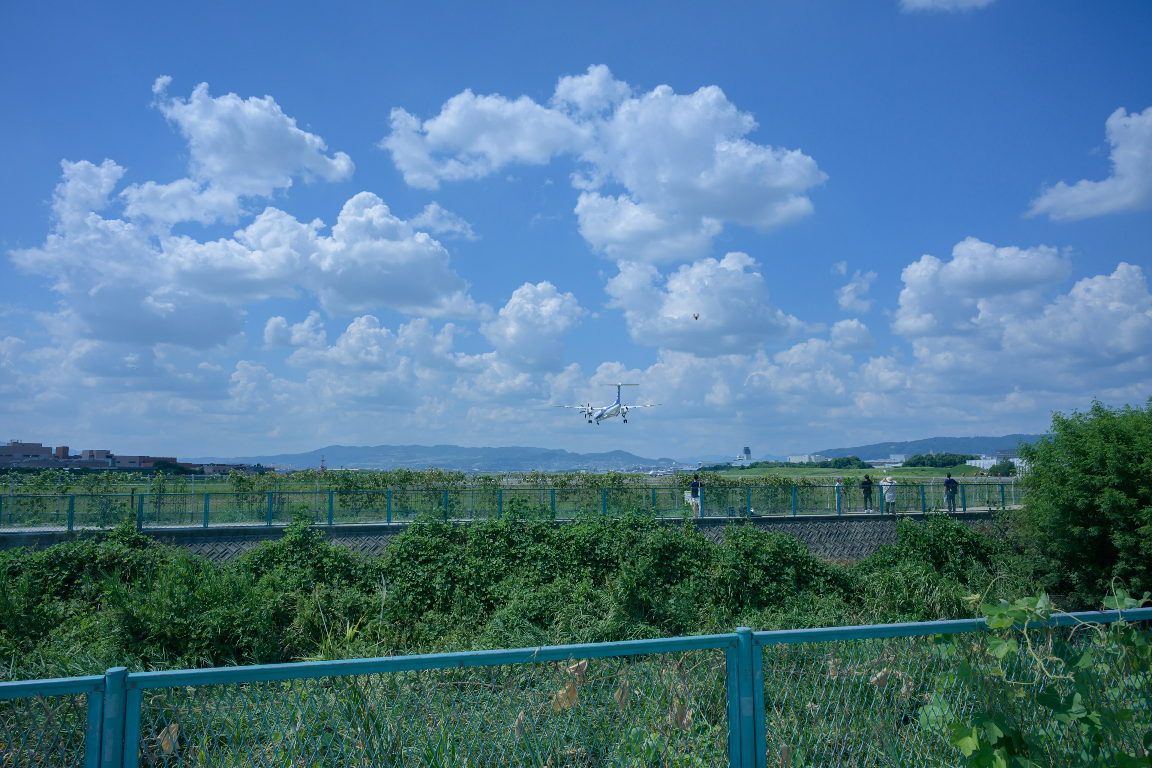 Malersicher Blick auf den blauen Himmel mit weißen Wolken grünen Pflanzen und einem blauen Zaun