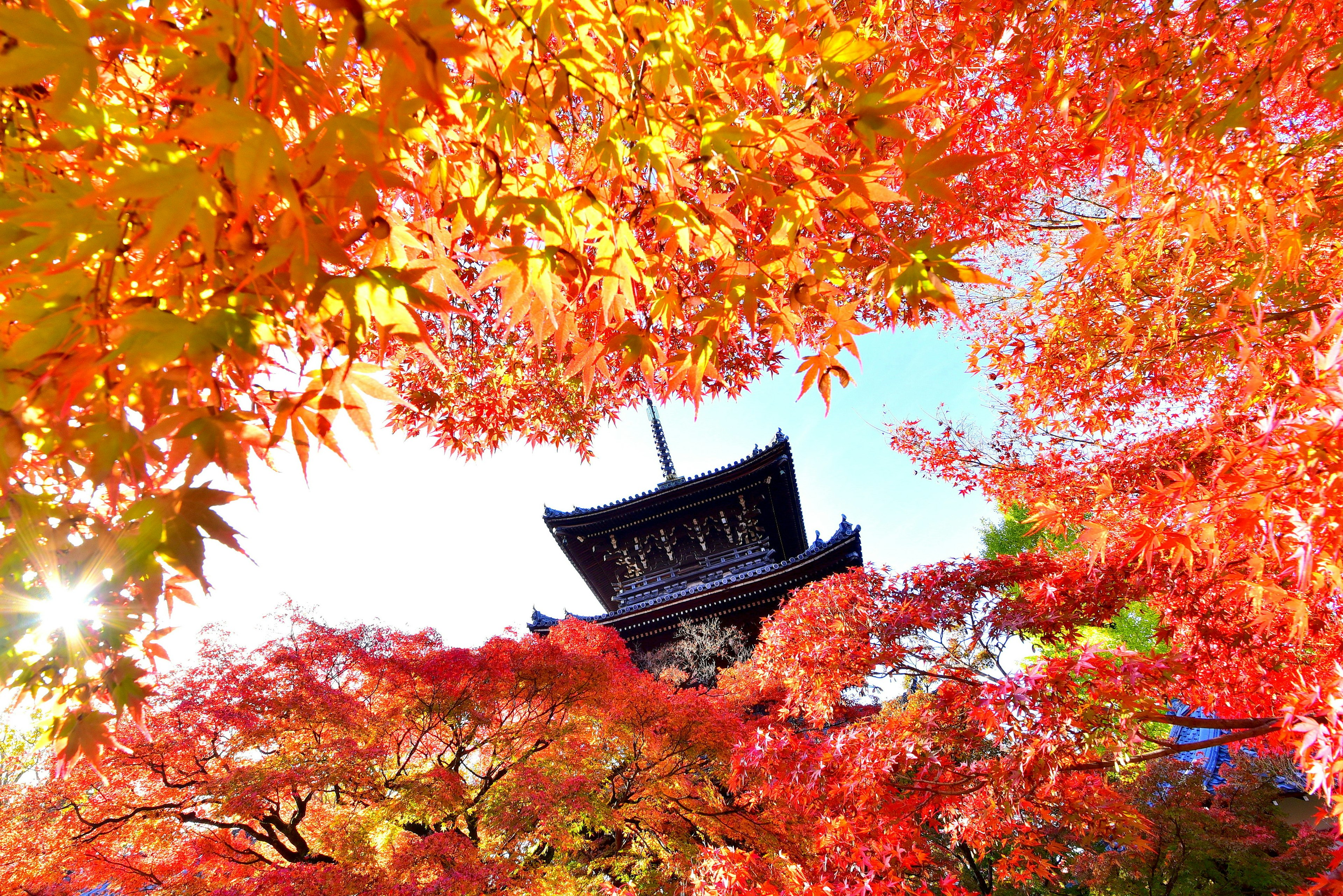 Hermosa vista de una torre de templo rodeada de hojas de otoño